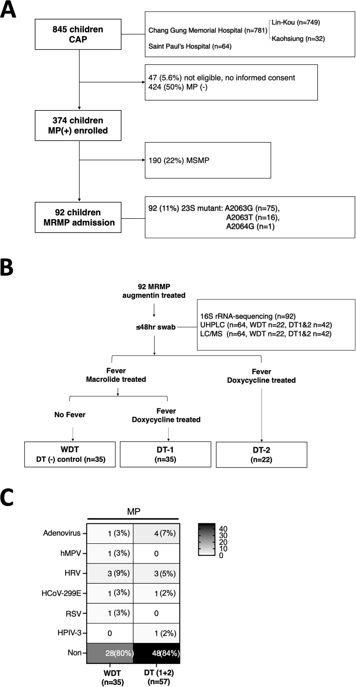 Flowchart illustrating the study process and results for children with community-acquired pneumonia (CAP). (A) Selection process: 845 children screened, 374 enrolled with MP positive, and 92 admitted with MRMP (specific mutations listed). (B) Treatment process: 92 MRMP given augmentin and analyzed using various methods. Fever treated with macrolides or doxycycline, leading to groups WDT, DT-1, and DT-2. (C) Table displaying MP presence across different viruses with percentage breakdowns for WDT and DT groups, represented by a gradient scale.
