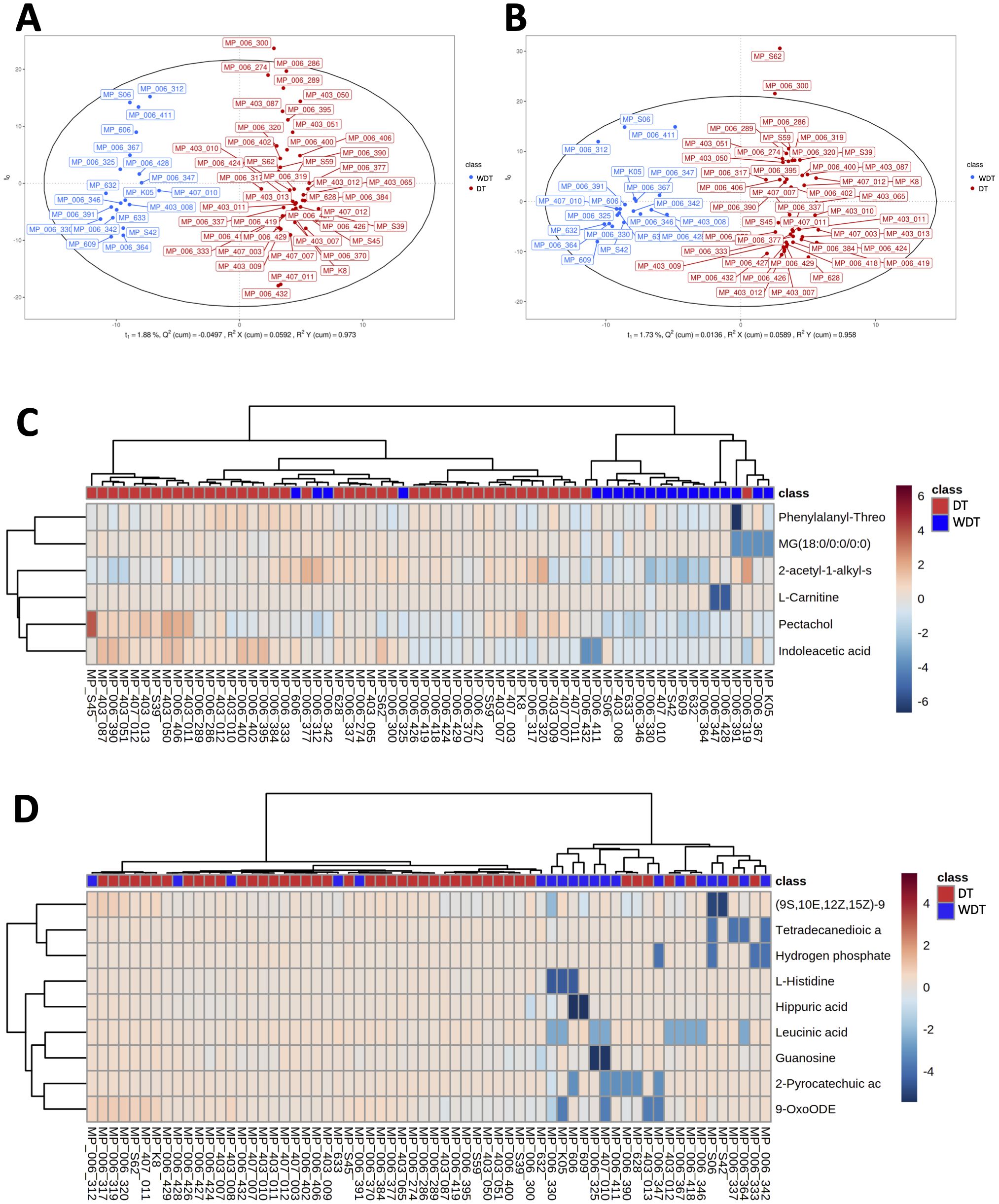 Panel A and B display PCA plots comparing two classes, DT and WDT, with distinct clusters in blue and red. Panel C and D feature heatmaps showing hierarchical clustering of metabolite data, with colors indicating intensity levels ranging from blue (low) to red (high). Labels include metabolites like L-Carnitine and Guanosine.