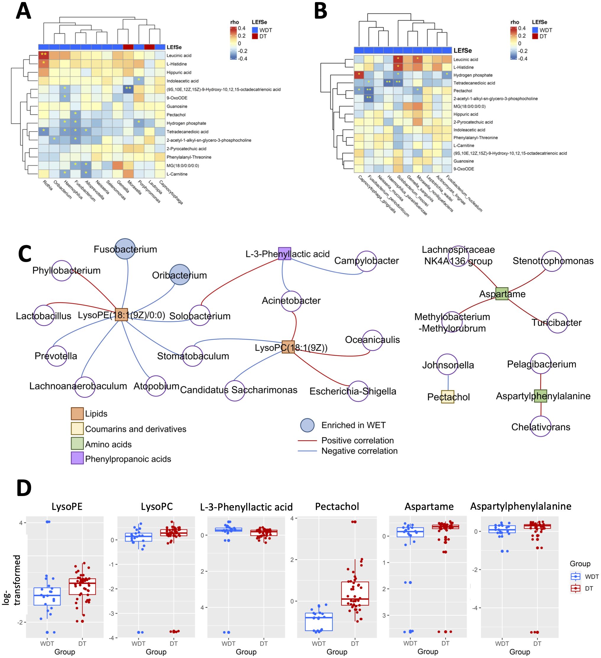 Heatmaps A and B show correlations between metabolites and groups, highlighting differences among LEfSe, WD, and DT. Network diagram C illustrates relationships between bacterial species and metabolites, with positive and negative correlations, and color-coded categories for lipids, coumarins, amino acids, and phenylpropanoic acids. Box plots D compare transformed values of specific metabolites like LysoPE and Aspartame across WDT and DT groups, using color to distinguish the groups.