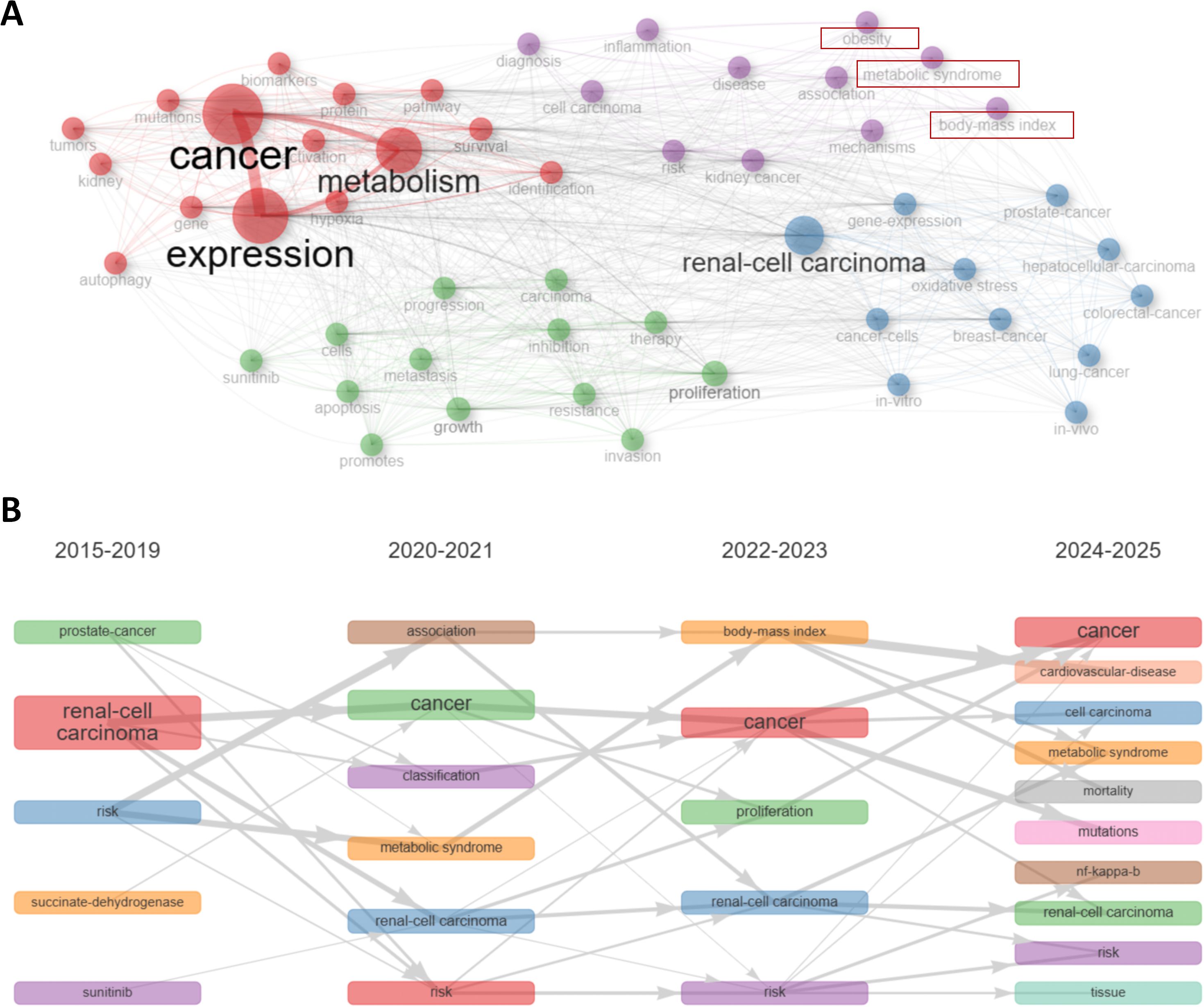Diagram A displays a network graph with clusters of terms related to cancer, metabolism, renal-cell carcinoma, and obesity, connected by lines indicating associations. Diagram B presents a timeline from 2015 to 2025, showing the progression of topics like prostate cancer, metabolic syndrome, and body-mass index, linked by arrows to illustrate their evolving interrelations.