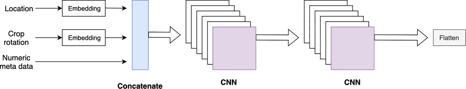 Diagram showing a data processing pipeline. Three inputs, “Location,” “Crop rotation,” passing through an “Embedding” and “Numeric metadata,”. These are concatenated and flow into two sequential “CNN” (Convolutional Neural Networks) layers, followed by a “Flatten” operation.