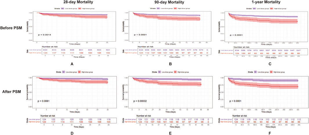 Kaplan-Meier survival plots show mortality rates at 28 days (A, D), 90 days (B, E), and 1 year (C, F) for low-dose and high-dose groups, before and after propensity score matching (PSM). Before PSM, high-dose groups show lower survival. After PSM, the survival gap narrows but remains significant. Data tables below each plot indicate the number at risk over time.