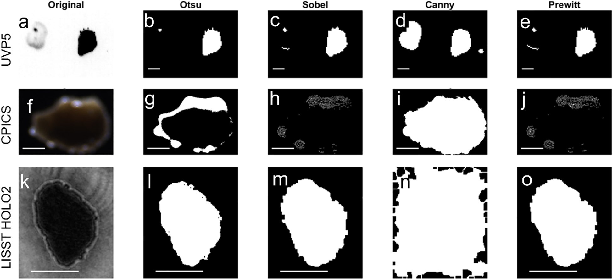 A series of images of non-standard particles showing various edge detection techniquesapplied to original images captured by different instruments. The images are organized incolumns representing the technique used: original, Otsu, Sobel, Canny, and Prewitt.Rows represent the instrument used: UVP5, CPICS, and LISST HOLO2.