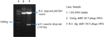 www.frontiersin.org