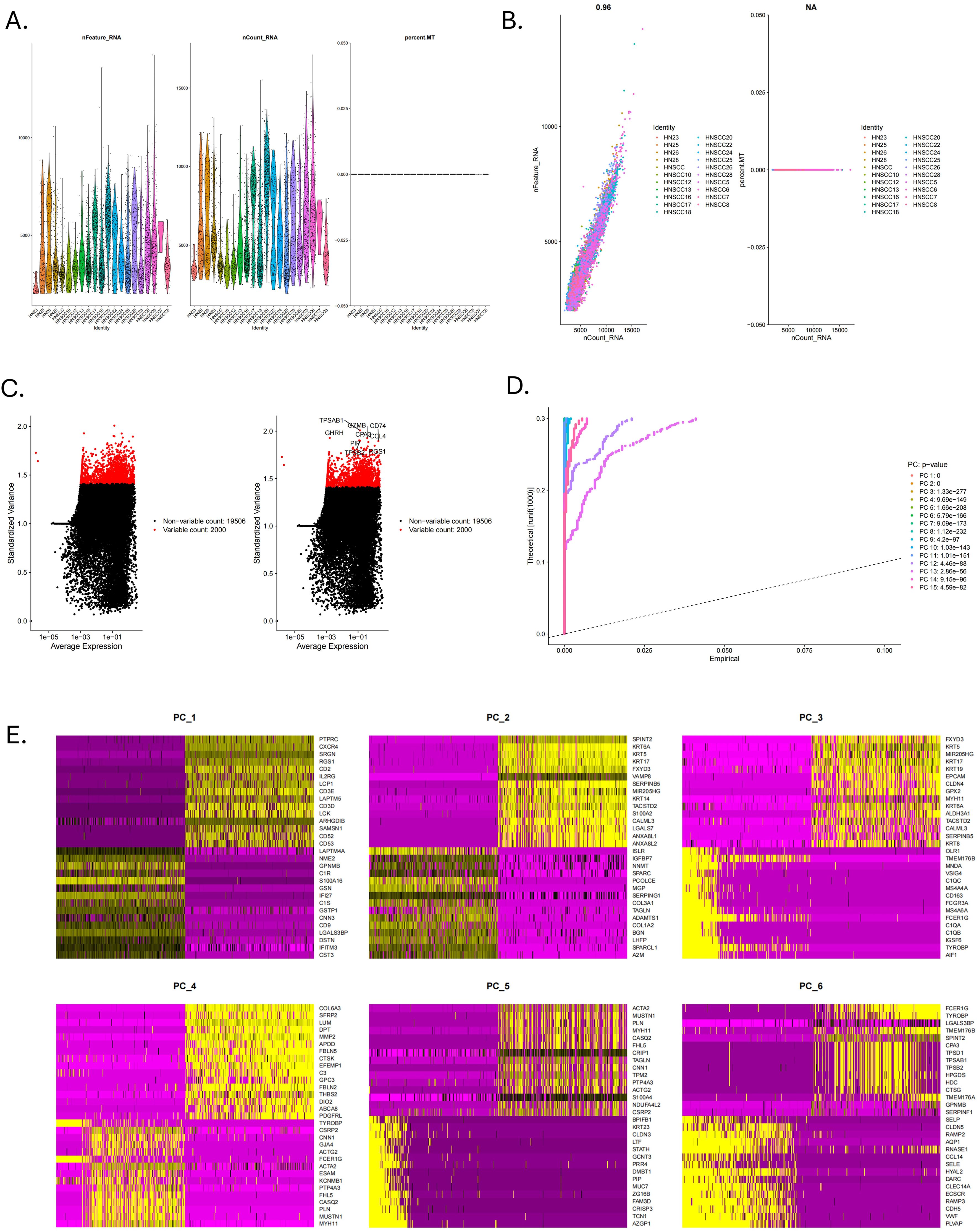 Panel A shows violin plots of RNA expression across different identities for features, counts, and mitochondrial percentage. Panel B displays scatter plots comparing total and counted RNA across identities. Panel C consists of scatter plots showing standardized variance versus average expression with highlighted variable genes. Panel D is an elbow plot illustrating principal component standard deviation, highlighting significant components. Panel E contains heatmaps representing gene expression across six principal components, with genes labeled alongside.