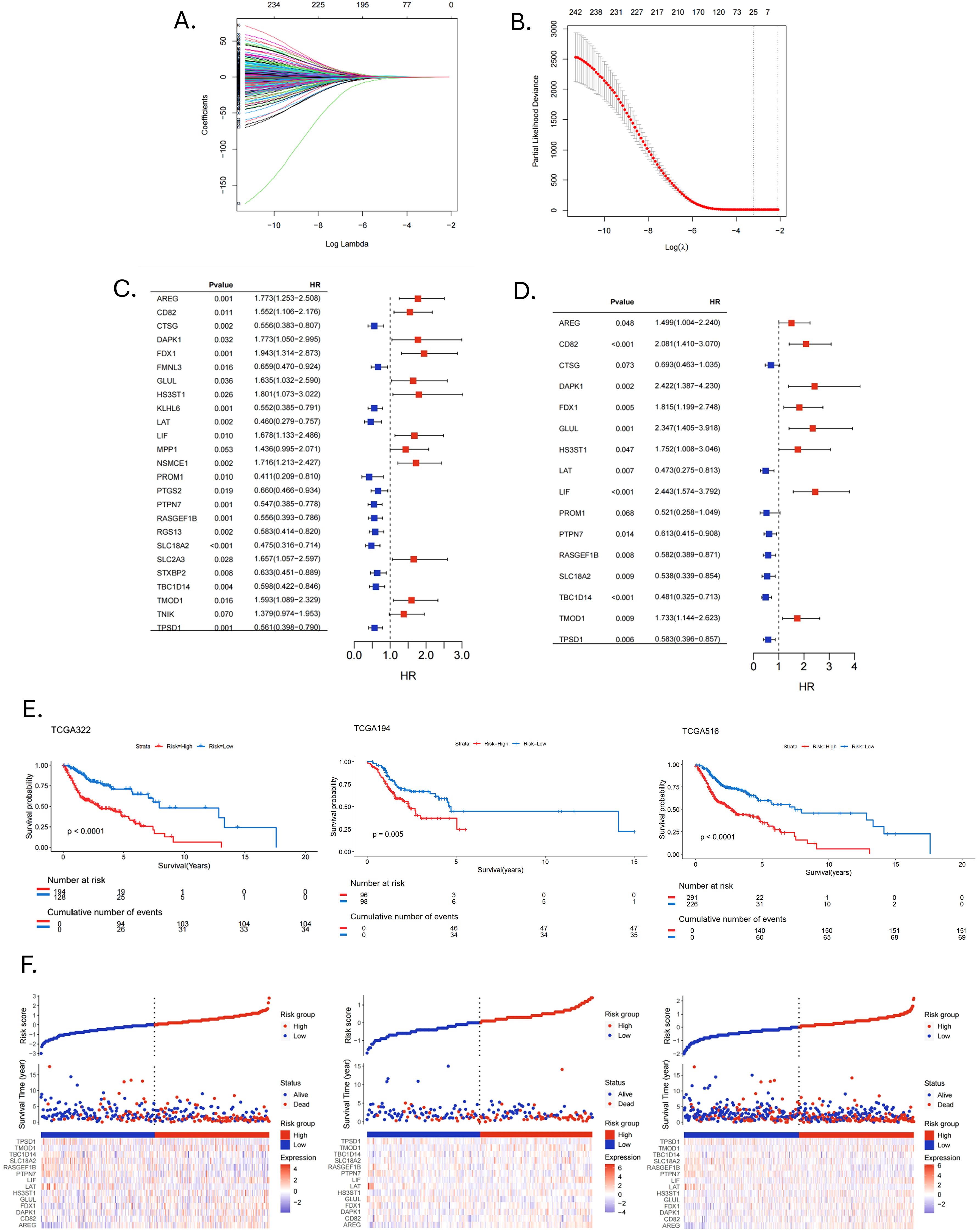 A panel of six graphs illustrating statistical data analysis: A. A graph showing correlation coefficients against log lambda values, with colored lines indicating different variables. B. A plot depicting partial likelihood deviance versus log λ, featuring a mean curve in red. C. A forest plot listing various genes with p-values and hazard ratios (HR), visualized through horizontal lines and squares. D. Another forest plot presenting different gene analyses with corresponding p-values and HR. E. Three Kaplan-Meier survival plots from different TCGA studies showing survival probability against years, comparing high and low risk groups. F. Three panels displaying survival time, risk scores, and gene expression heatmaps for different patient cohorts, divided into high and low risk groups.