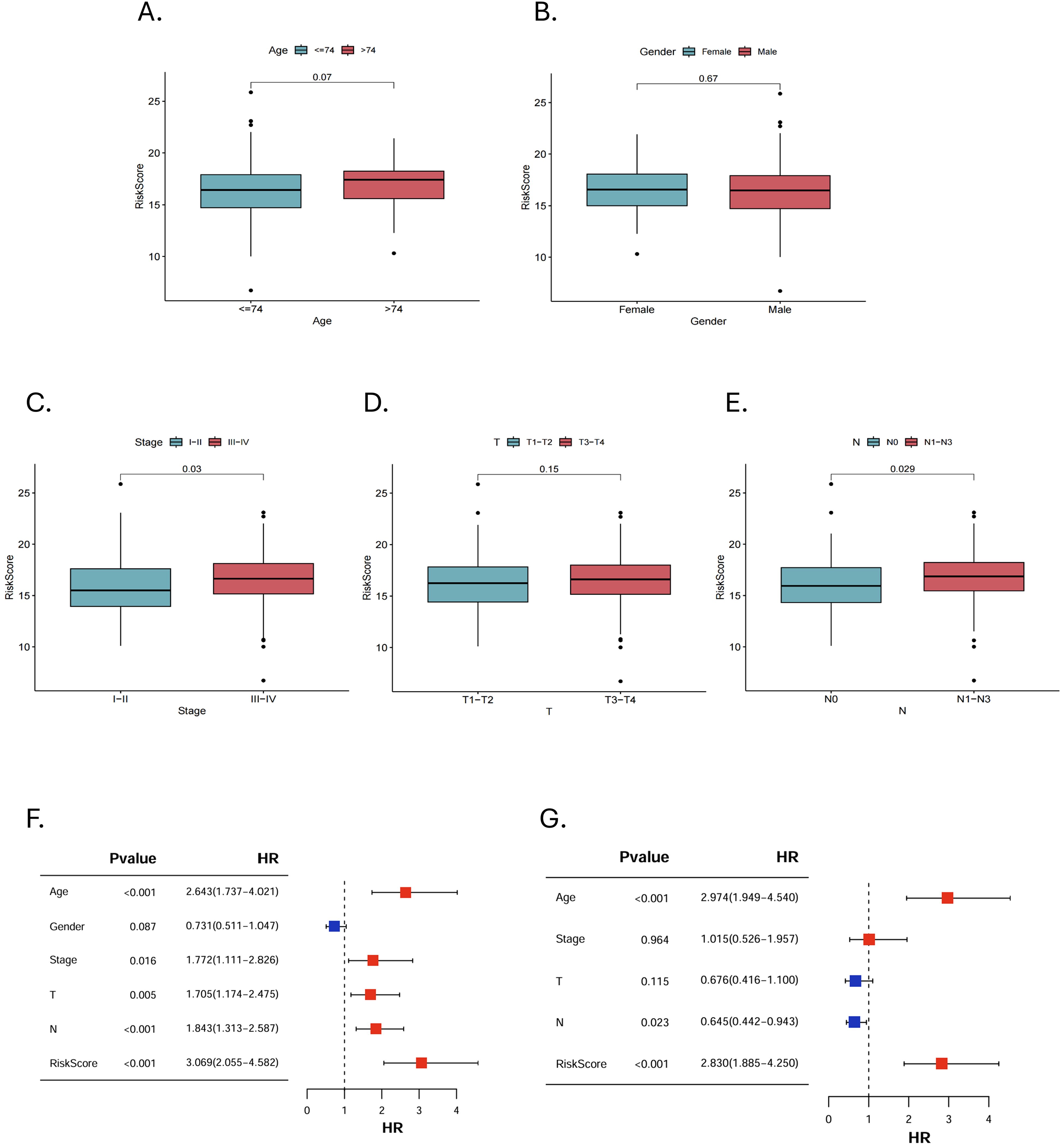 Box plots and forest plots analyze risk scores and hazard ratios across different factors. Panels A to E show risk scores for variables like age, gender, cancer stage, and tumor presence, with significant p-values noted. Panels F and G display forest plots with hazard ratios and p-values, indicating statistical significance for factors affecting risk.
