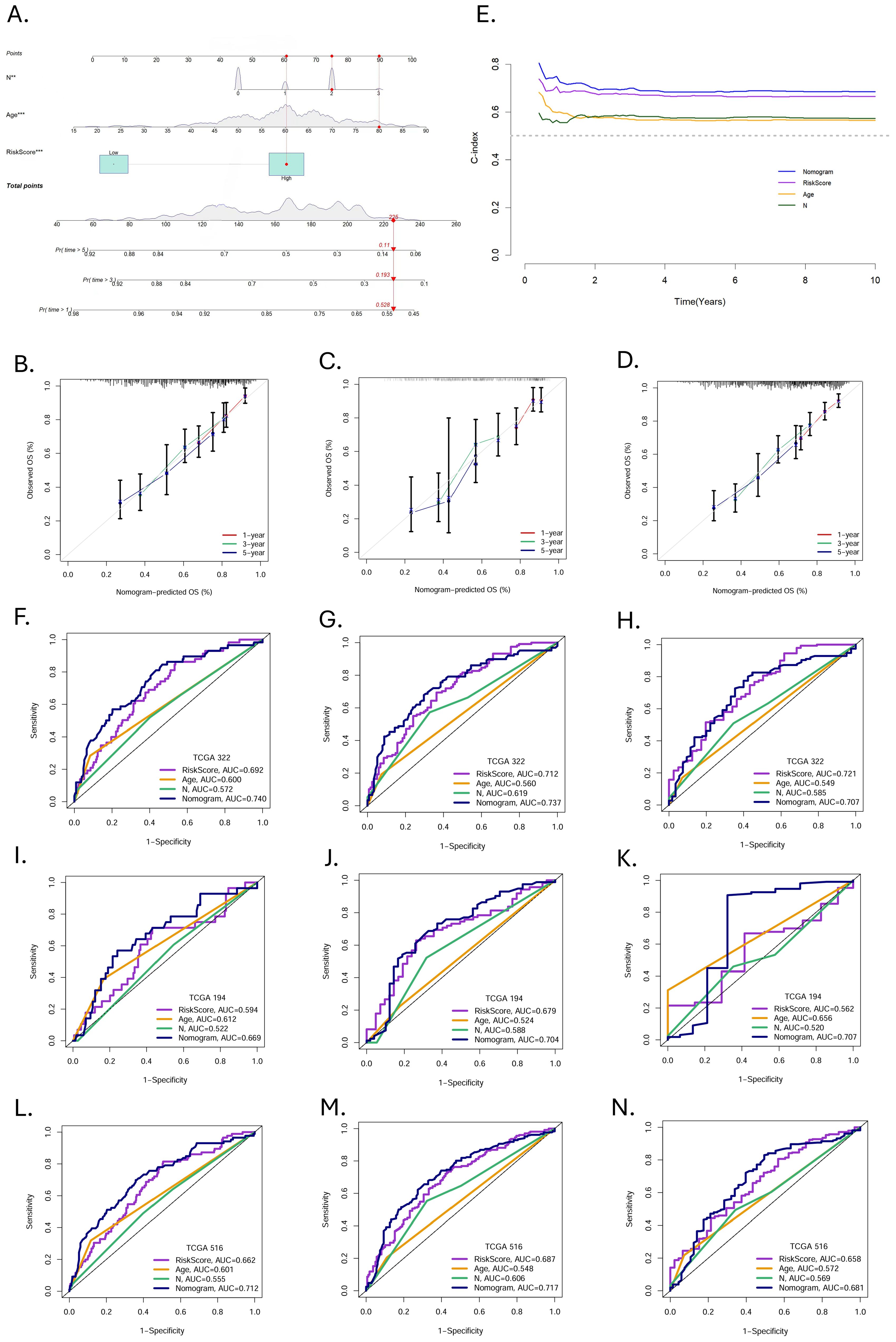 Panel A presents a nomogram for predicting overall survival using various variables. Panels B, C, and D show calibration plots comparing observed and predicted survival rates at one, three, and five years. Panel E displays a line graph of the C-index over ten years for different predictors. Panels F to N show receiver operating characteristic (ROC) curves for different cohorts, illustrating the predictive power of each model, with values indicating the area under the curve (AUC) for risk scores, age, and other factors.