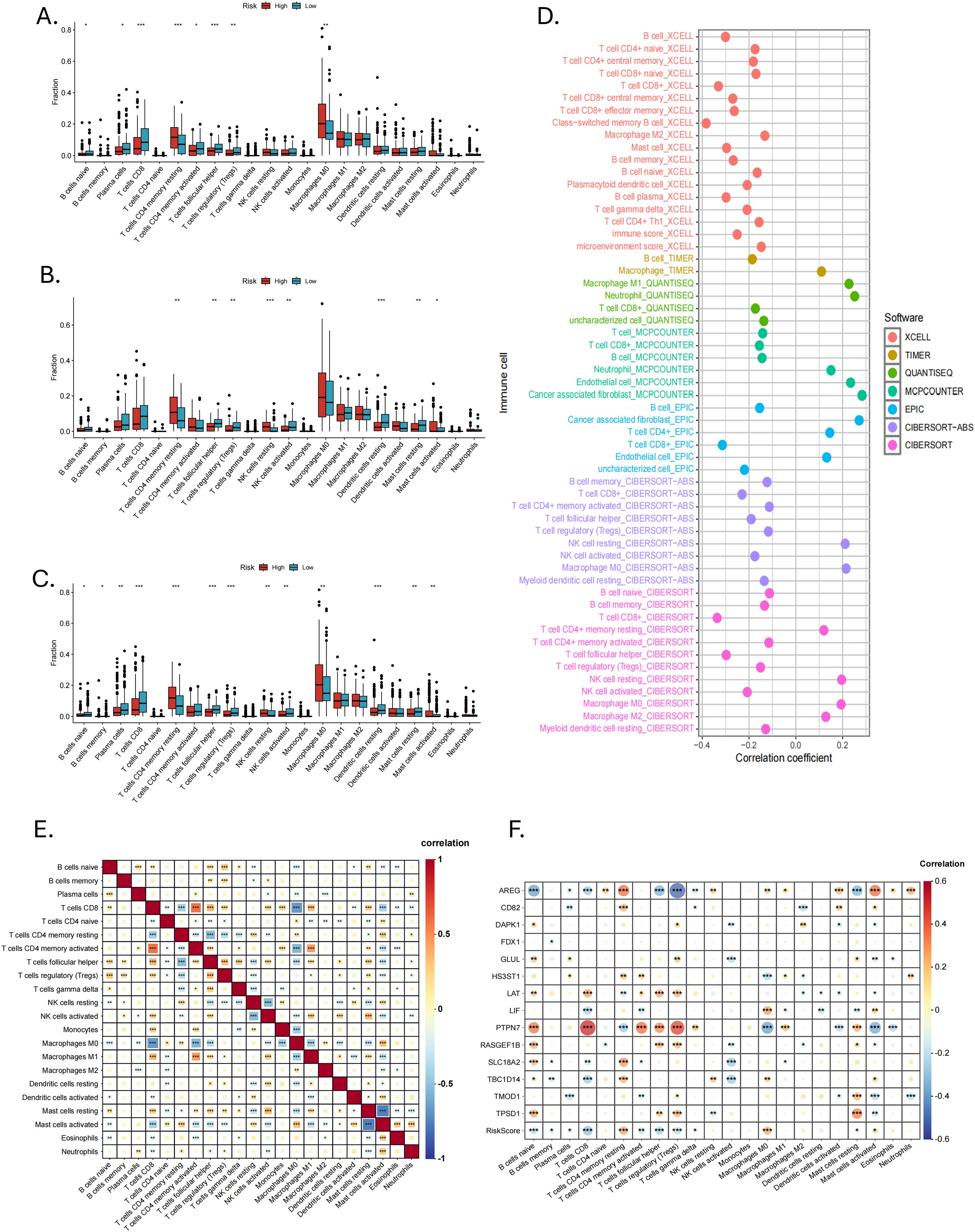 Graphs and charts depicting immune cell proportions, correlations, and risk associations across six panels. Panels A, B, and C present box plots of immune cell fractions categorized by risk levels. Panel D displays a correlation coefficient plot with different colors representing software tools. Panels E and F are correlation matrices with color gradients indicating correlation strength between immune cells and various genes or risk scores.
