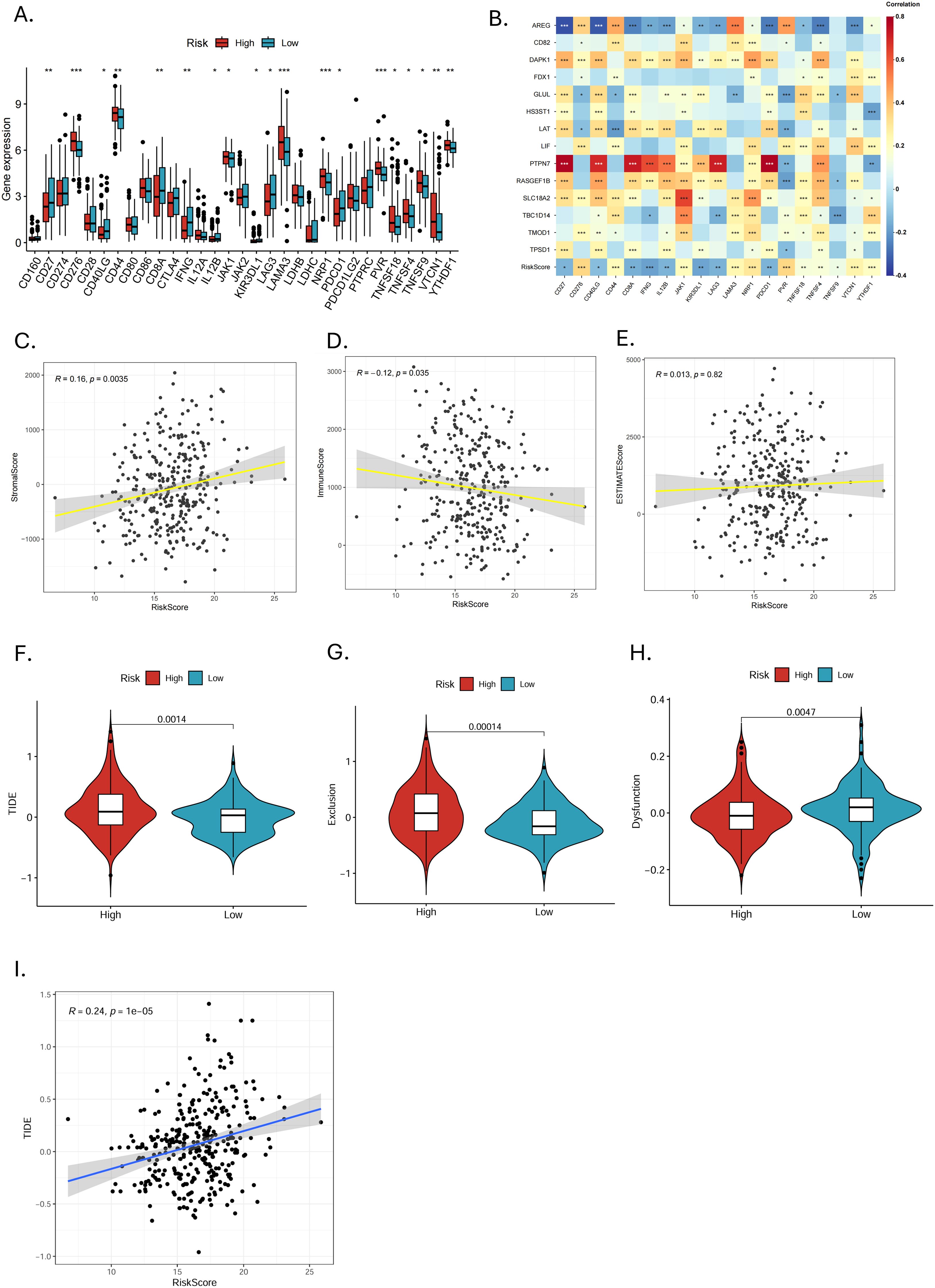 Image contains multiple panels related to gene expression and risk scores. Panel A shows box plots of gene expression for various genes in high and low-risk groups. Panel B is a heatmap of gene correlations. Panels C, D, and E display scatter plots with trend lines for correlations between risk scores and immune-related scores. Panels F, G, and H present violin plots comparing TIDE, exclusion, and dysfunction between risk groups. Panel I is a scatter plot showing a correlation between TIDE and risk scores.