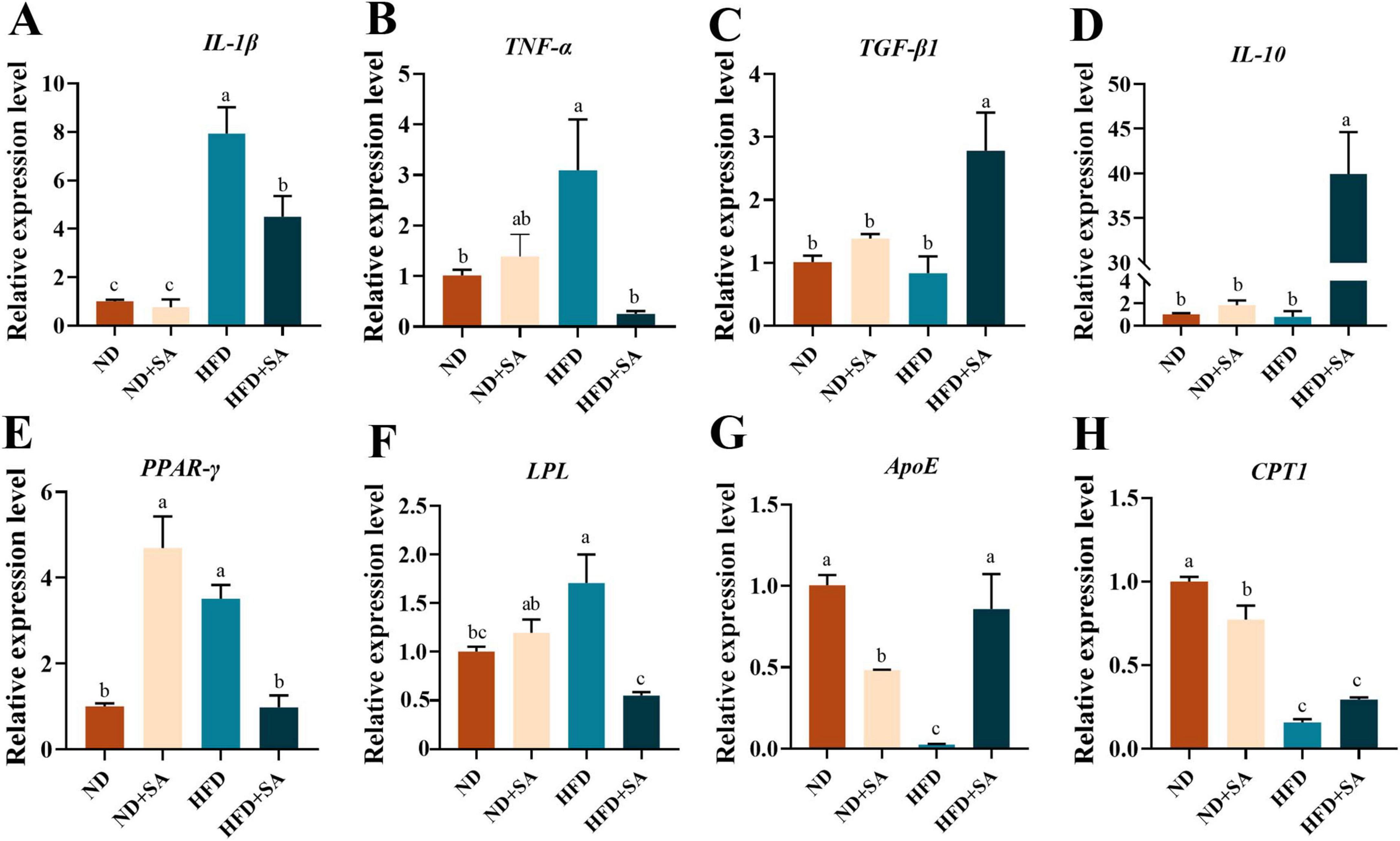 Bar charts (A-H) show the relative expression levels of genes: IL-1β, TNF-α, TGF-β1, IL-10, PPAR-γ, LPL, ApoE, and CPT1, across four conditions: ND, ND+SA, HFD, and HFD+SA. Significant differences are marked with letters above bars.