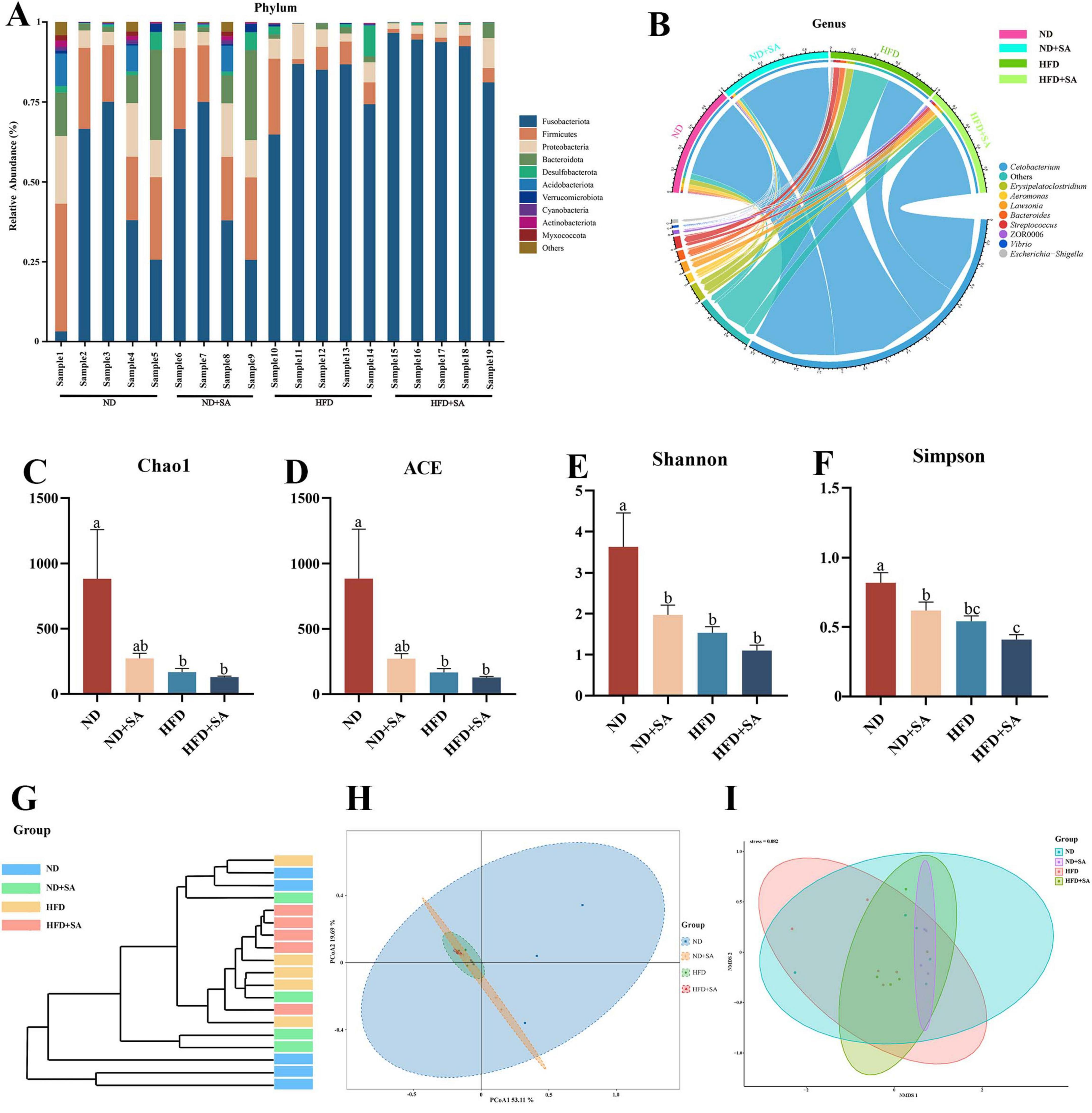 “Composite image displaying multiple charts and graphs: A. Stacked bar chart showing relative abundance of different bacterial phyla across groups ND, ND+SA, HFD, and HFD+SA. B. Circular chord diagram illustrating genus-level bacterial composition. C-F. Bar charts for diversity indices: Chao1, ACE, Shannon, and Simpson. G. Dendrogram showing hierarchical clustering of samples. H. PCA plot illustrating sample clustering. I. Venn diagram depicting overlap among groups. Groups are color-coded: ND, ND+SA, HFD, and HFD+SA.”