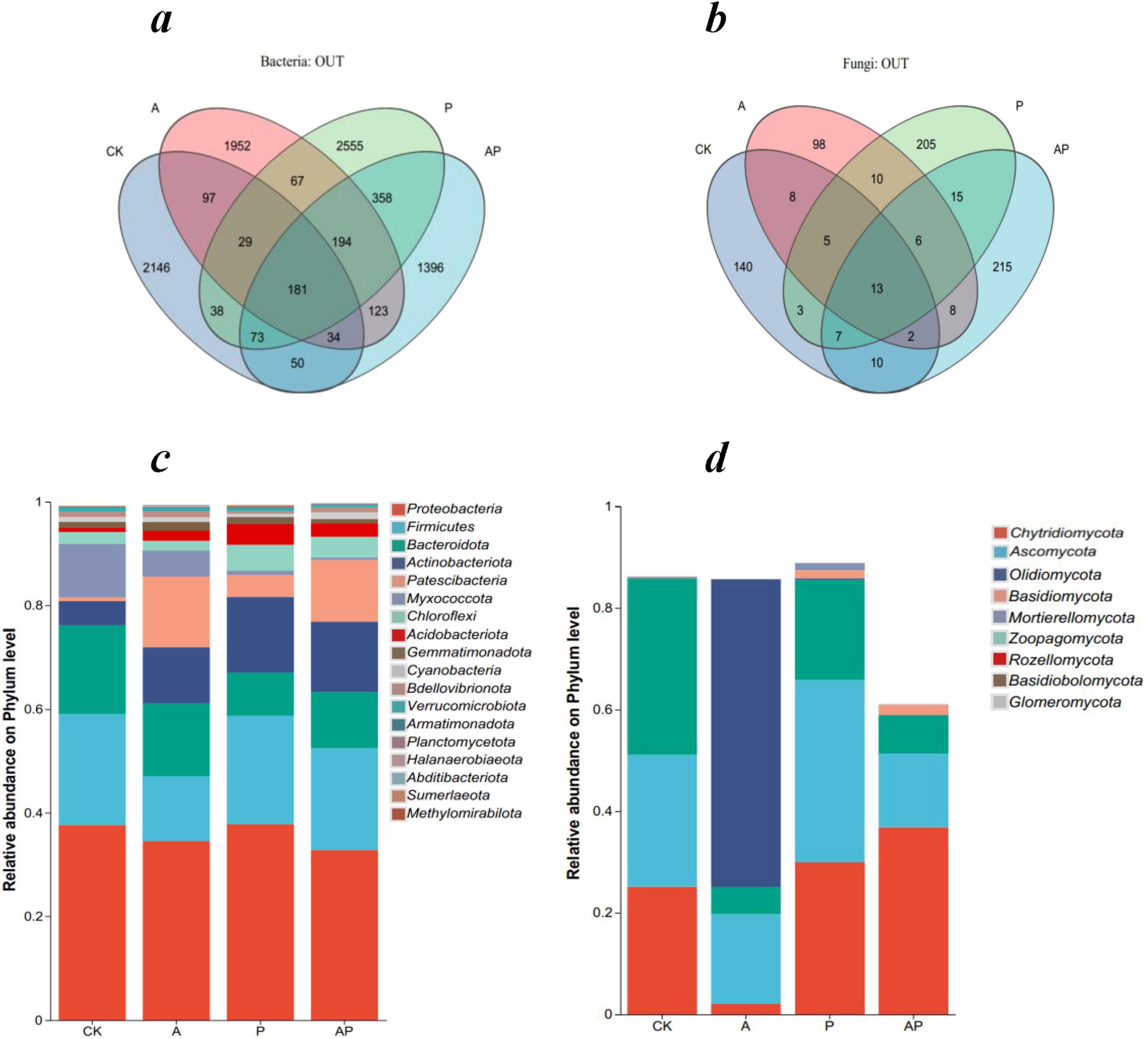 Four-part diagram: (a) Venn diagram showing bacterial operational taxonomic units (OTUs) among groups CK, A, P, and AP. (b) Venn diagram of fungal OTUs among the same groups. (c) Bar chart of bacterial phylum-level relative abundance for groups CK, A, P, and AP. (d) Bar chart of fungal phylum-level relative abundance for the same groups. Each chart includes a detailed legend for phyla.