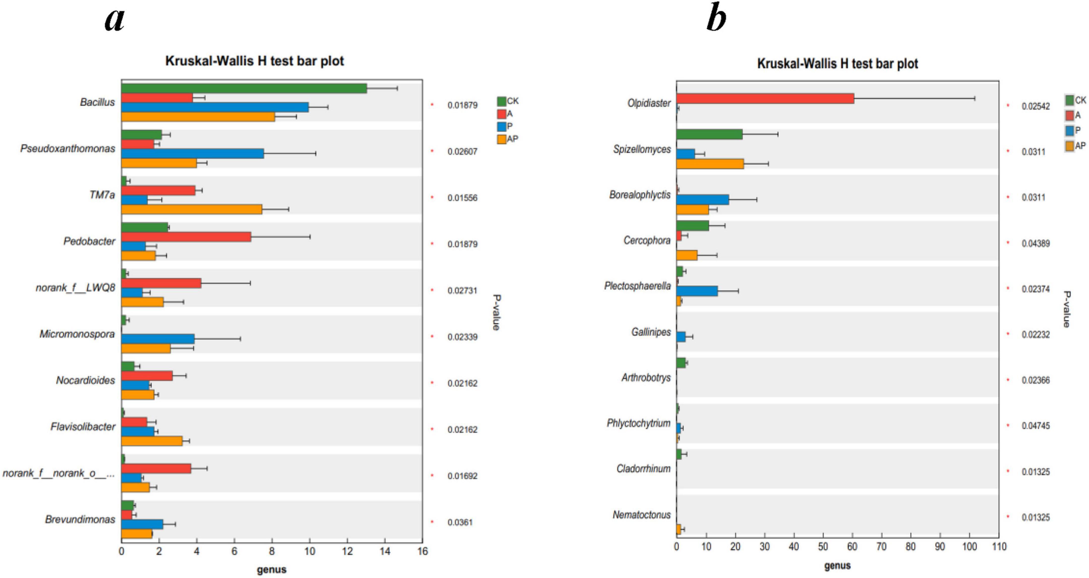 Two bar plots titled “Kruskal-Wallis H test bar plot.” Plot (a) shows genus data for Bacillus, Pseudoxanthomonas, and others with values for CK, P, and AP. Plot (b) depicts genus data for Olpidiaster, Spizellomyces, and others with the same categories. Error bars and significance values are included.