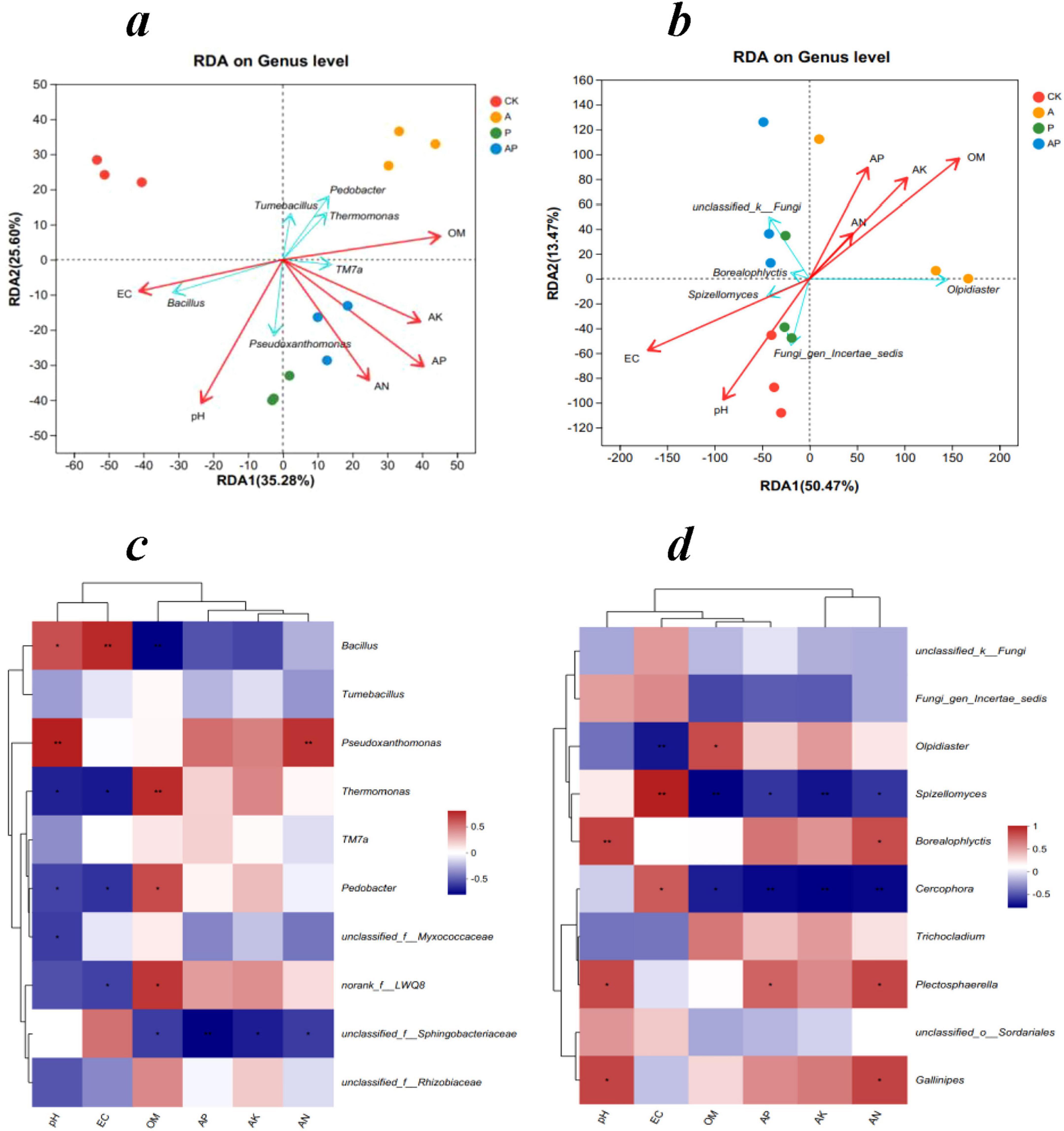 Four-part illustration depicting RDA plots and heatmaps. Panel a shows an RDA plot on the genus level, highlighting bacteria like Bacillus and Pseudoxanthomonas. Panel b presents an RDA plot focusing on fungi, including Spizellomyces and Borealophycus. Panel c is a heatmap of bacterial genera, with a color gradient from blue to red indicating abundance correlation with environmental factors like pH and AK. Panel d features a heatmap for fungal genera, similarly color-coded to display correlations. Red arrows in the RDA plots indicate influential environmental variables.
