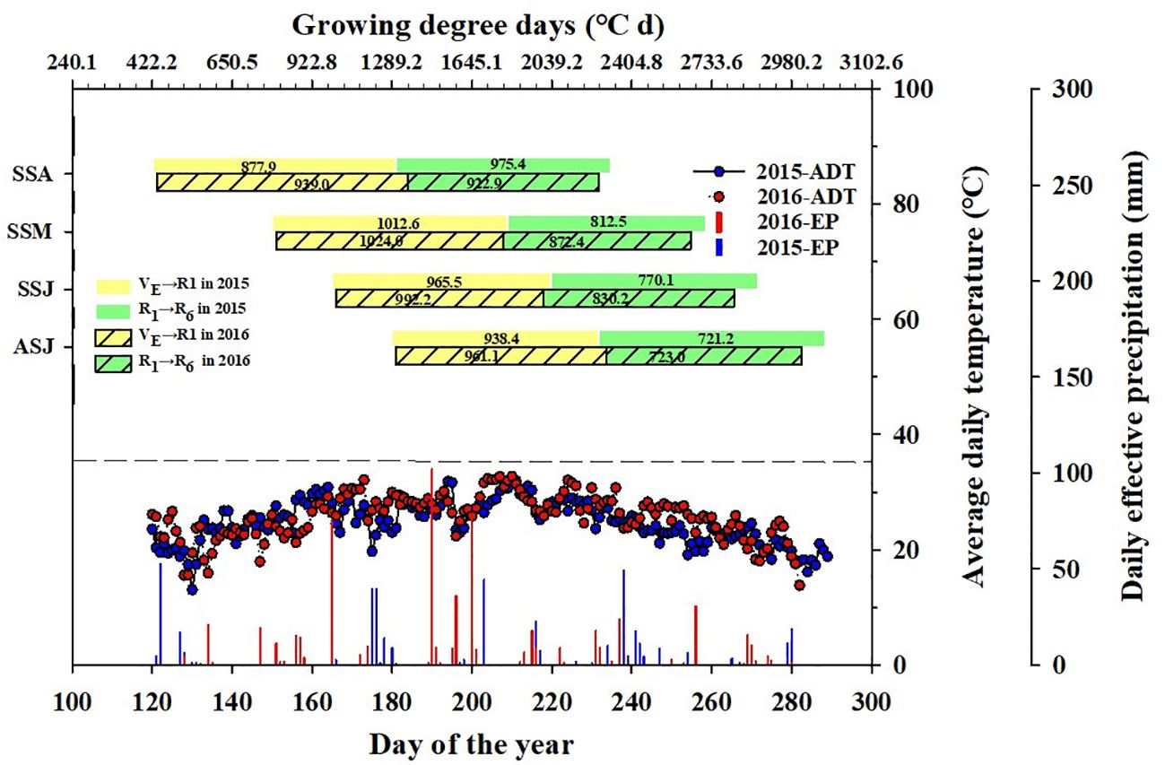 Bar and line chart showing growing degree days (°C d) for four regions, SSA, SSM, SSJ, and ASJ. Bars are divided by year and growth stages, VE-R1 and R1-R6, for 2015 and 2016, color-coded in yellow and green. Line graph below shows average daily temperature and effective precipitation for 2015 and 2016, with blue and red dots for temperature and vertical lines for precipitation over the year. A legend explains the color coding.
