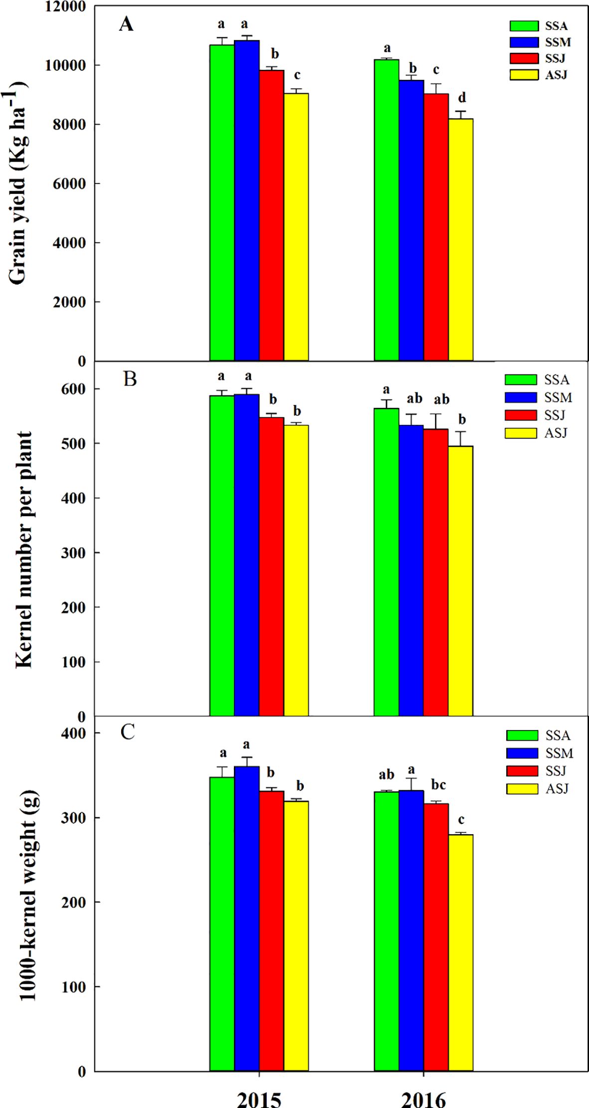 Bar graphs labeled A, B, and C compare grain yield, kernel number per plant, and one thousand-kernel weight for the years 2015 and 2016. Each graph shows data for four treatments: SSA (green), SSM (blue), SSJ (red), and ASJ (yellow). Graph A shows grain yield, B shows kernel number per plant, and C shows one thousand-kernel weight. Each treatment is indicated by different letters to denote statistical significance.