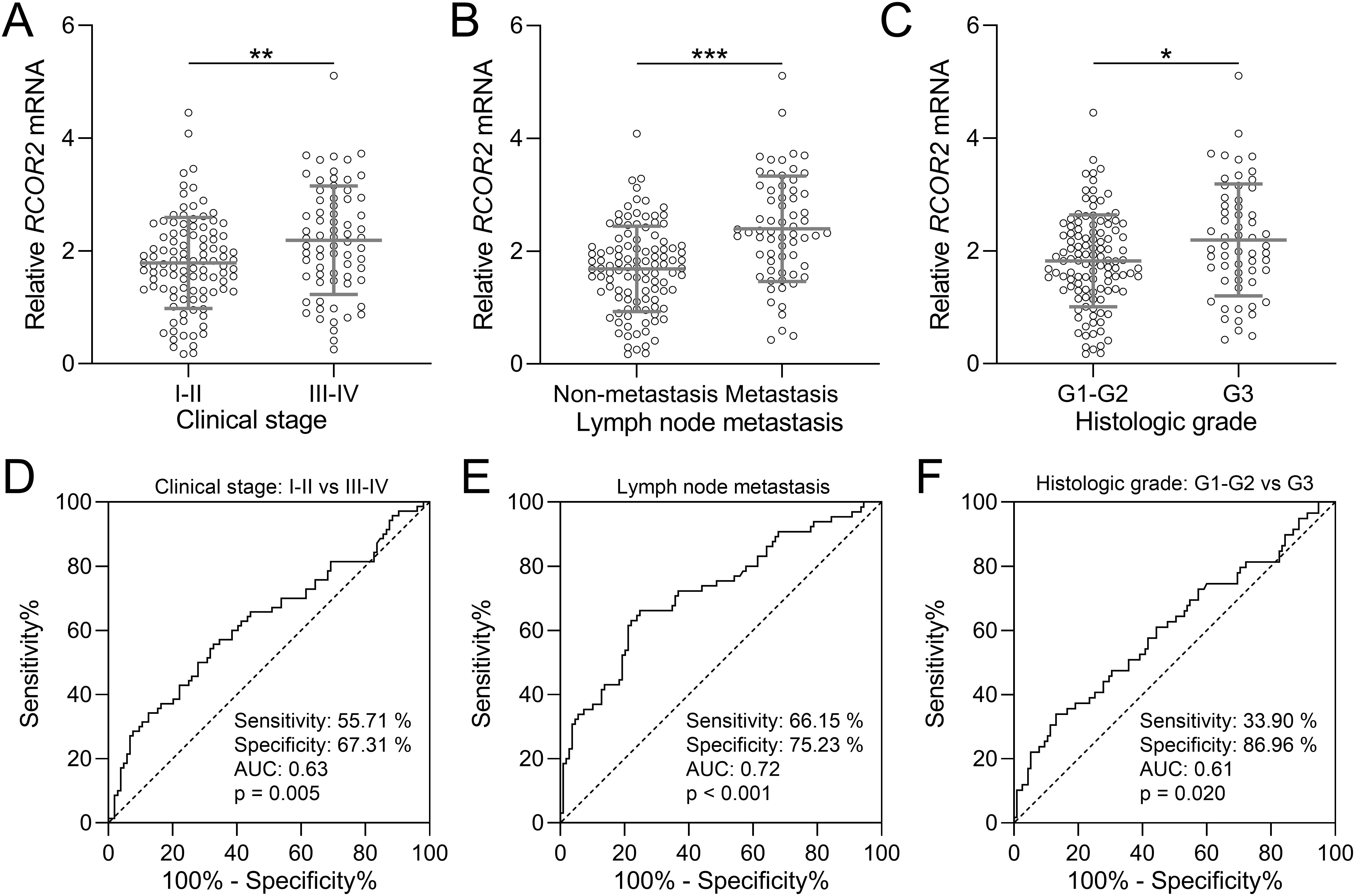 Scatter plots and ROC curves analyzing RCOR2 mRNA. Panels A-C show RCOR2 mRNA levels relative to clinical stage, lymph node metastasis, and histologic grade, with statistical significance marked by asterisks. Panels D-F display ROC curves for these comparisons, including sensitivity, specificity, AUC, and p-values.