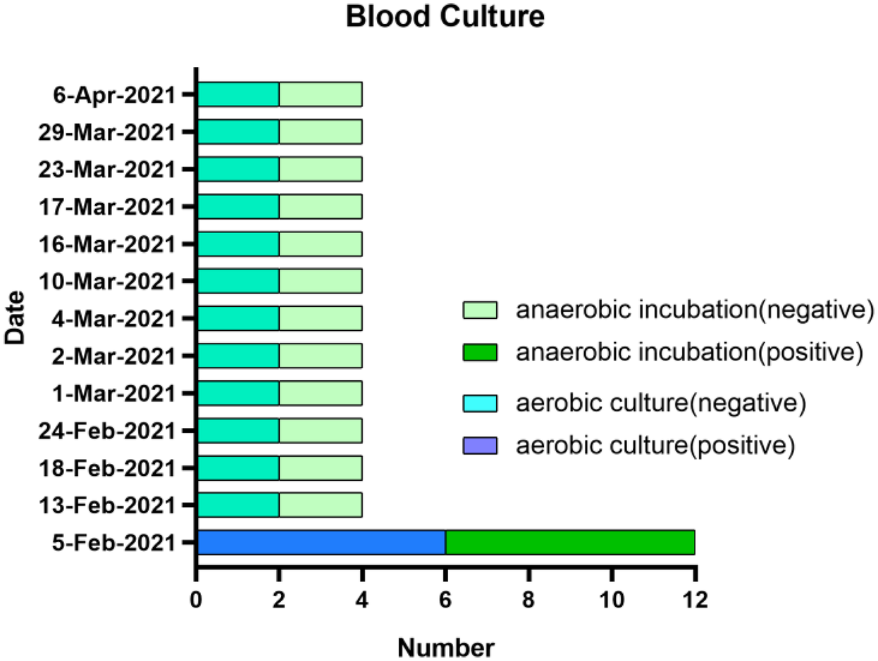 Bar chart titled \"Blood Culture\" showing results from February 5, 2021, to April 6, 2021. Categories include anaerobic incubation (negative and positive) and aerobic culture (negative and positive). Consistent negative results, except February 5 shows positives for both types. Results presented as horizontal bars corresponding to counts on the x-axis.