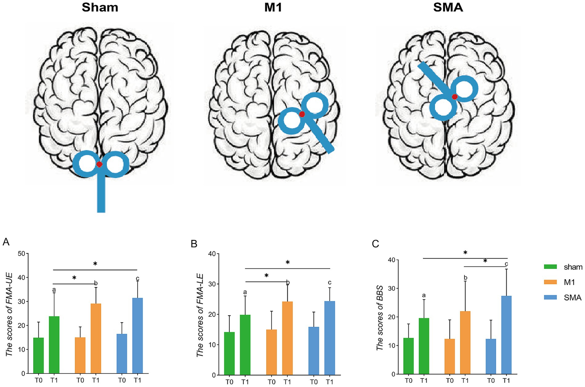Three diagrams of a brain show different stimulation areas labeled Sham, M1, and SMA, each with blue coil diagrams. Below are three bar graphs (A, B, C) comparing scores of FMA-UE, FMA-LE, and BBS at times T0 and T1 with green, orange, and blue bars representing Sham, M1, and SMA groups. Significant differences are marked with asterisks and letters a, b, c, highlighting comparisons among groups.