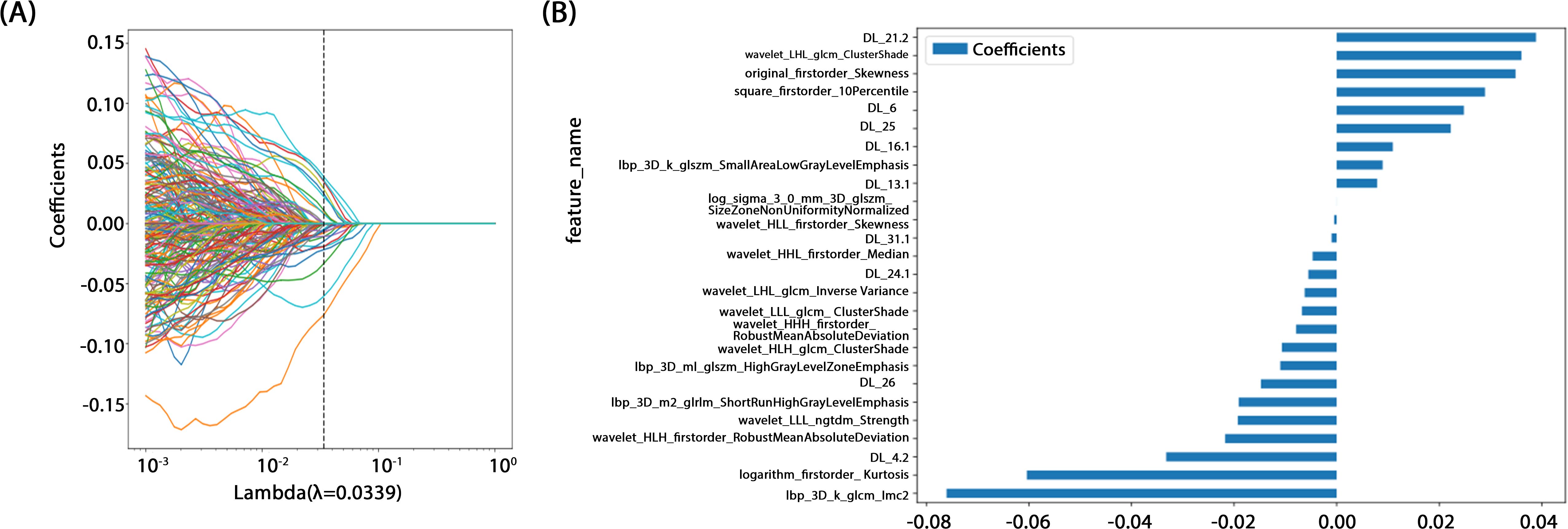 Panel (A) shows a Lasso regression plot with coefficients against log-scaled Lambda values, highlighting how coefficients converge as regularization increases. Panel (B) features a horizontal bar chart indicating the significance of various features, with bar lengths representing coefficient values and a legend for reference.