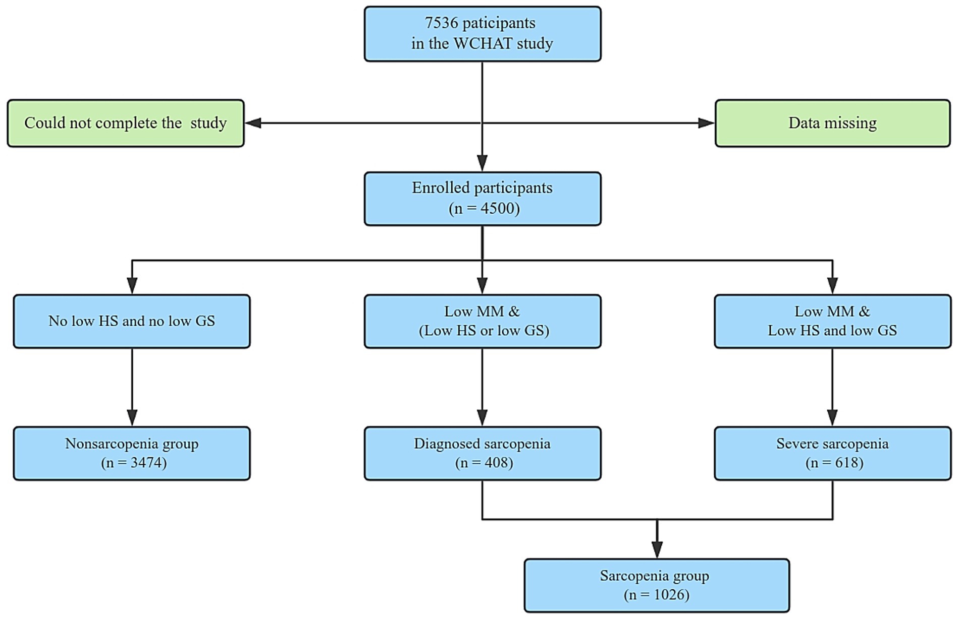 Flowchart showing participant distribution in the WCHAT study. Out of 7536 participants, 4500 were enrolled. Those not completing the study or with missing data are excluded. Participants are categorized based on low muscle mass (MM), handgrip strength (HS), and gait speed (GS). Categories are nonsarcopenia (3474), diagnosed sarcopenia (408), and severe sarcopenia (618), with a total sarcopenia group of 1026.