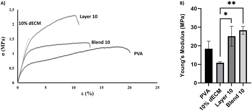 Graph A shows stress-strain curves for PVA, 10% dECM, Blend 10, and Layer 10. Graph B displays a bar chart comparing Young's modulus for the same materials, with statistical significance indicated by asterisks.