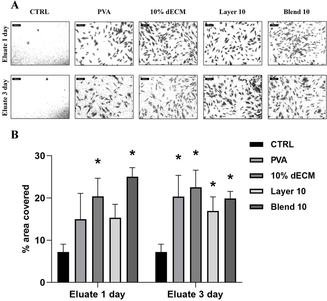 Panel A displays microscopic images of cell cultures under different conditions—CTRL, PVA, 10% dECM, Layer 10, and Blend 10—at 1 day and 3 days eluate intervals. Panel B is a bar chart showing the percentage area covered by cells for each condition, indicating higher coverage in PVA and other treated groups compared to CTRL. Asterisks denote statistically significant differences.