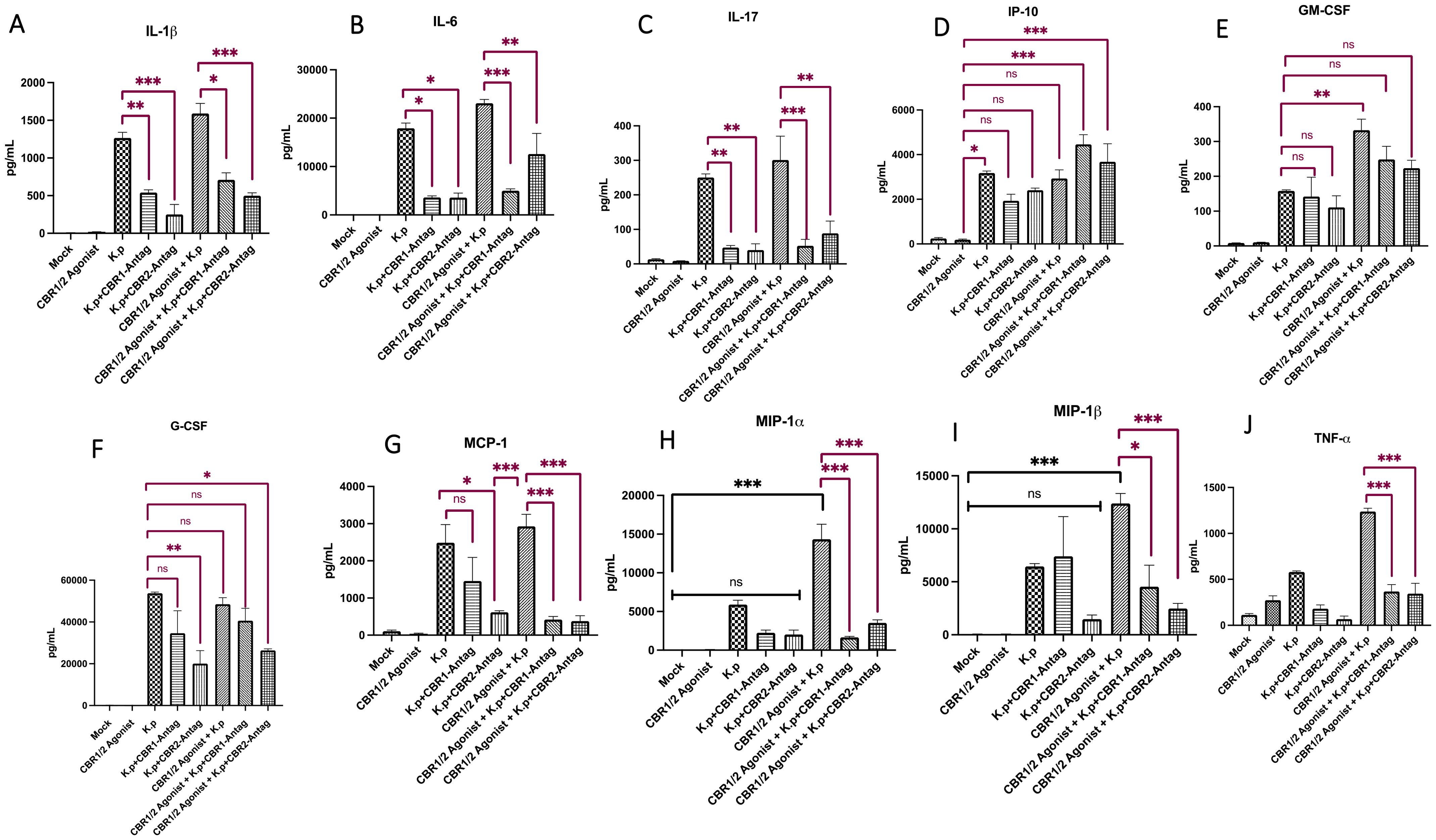 Bar graphs display cytokine levels, measured in picograms per milliliter, across different experimental groups labeled Mock, CBR1/2 Agonist, and combinations with antagonists. Panels A-J show varying cytokines: IL-1β, IL-6, IL-17, IP-10, GM-CSF, G-CSF, MCP-1, MIP-1α, MIP-1β, and TNF-α. Significant differences between groups are marked by asterisks, with brackets indicating specific comparisons. Error bars represent standard deviation.