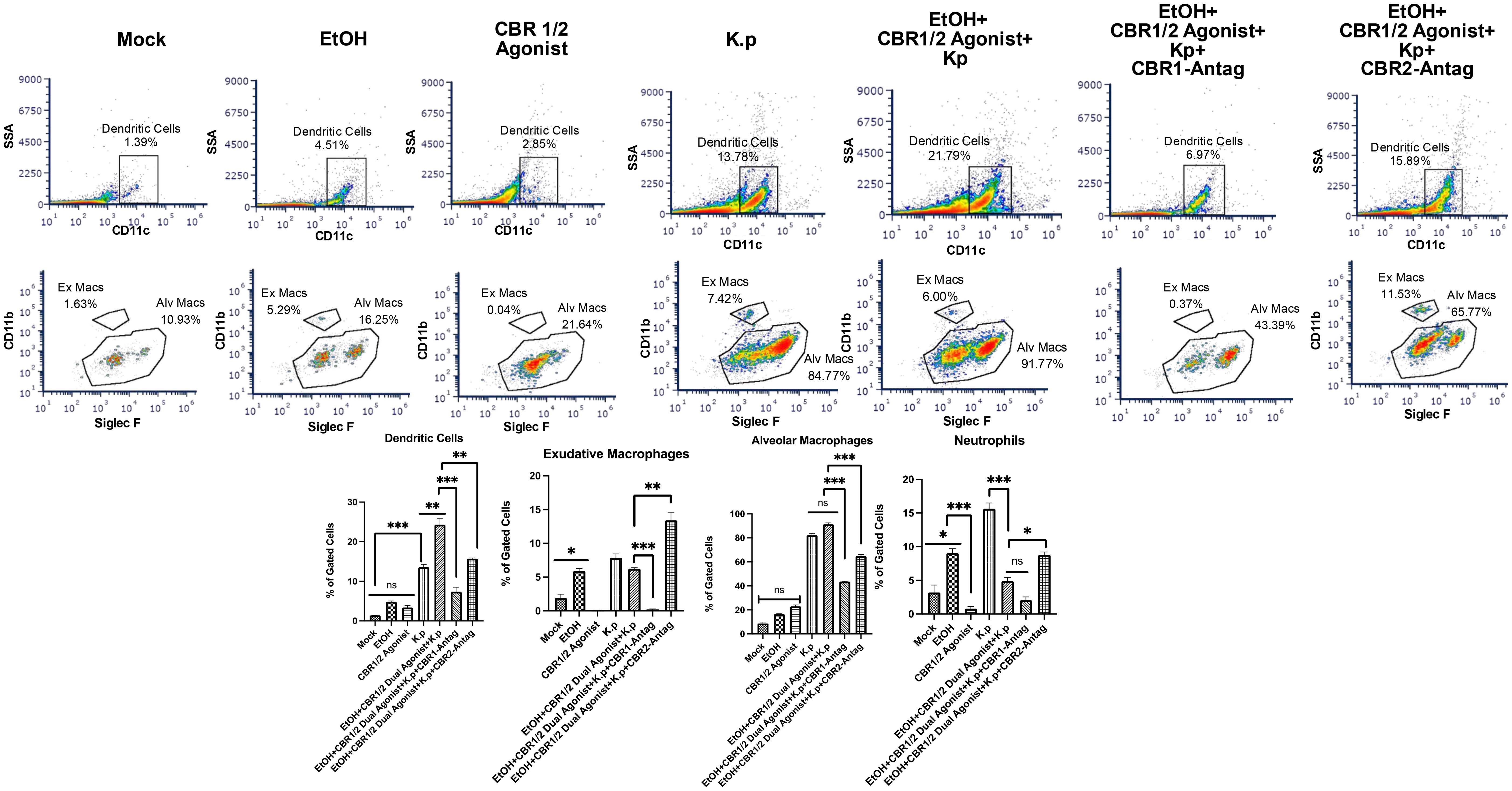 Flow cytometry scatter plots and bar graphs depicting immune cell populations under different conditions. Conditions include Mock, EtOH, CBR1/2 Agonist, K.p, and combinations with antagonists. Scatter plots display dendritic cells, alveolar macrophages, and exudative macrophages, with percentages indicated. Bar graphs below show percentages of gated cells across different treatments, with statistical significance marked by asterisks.