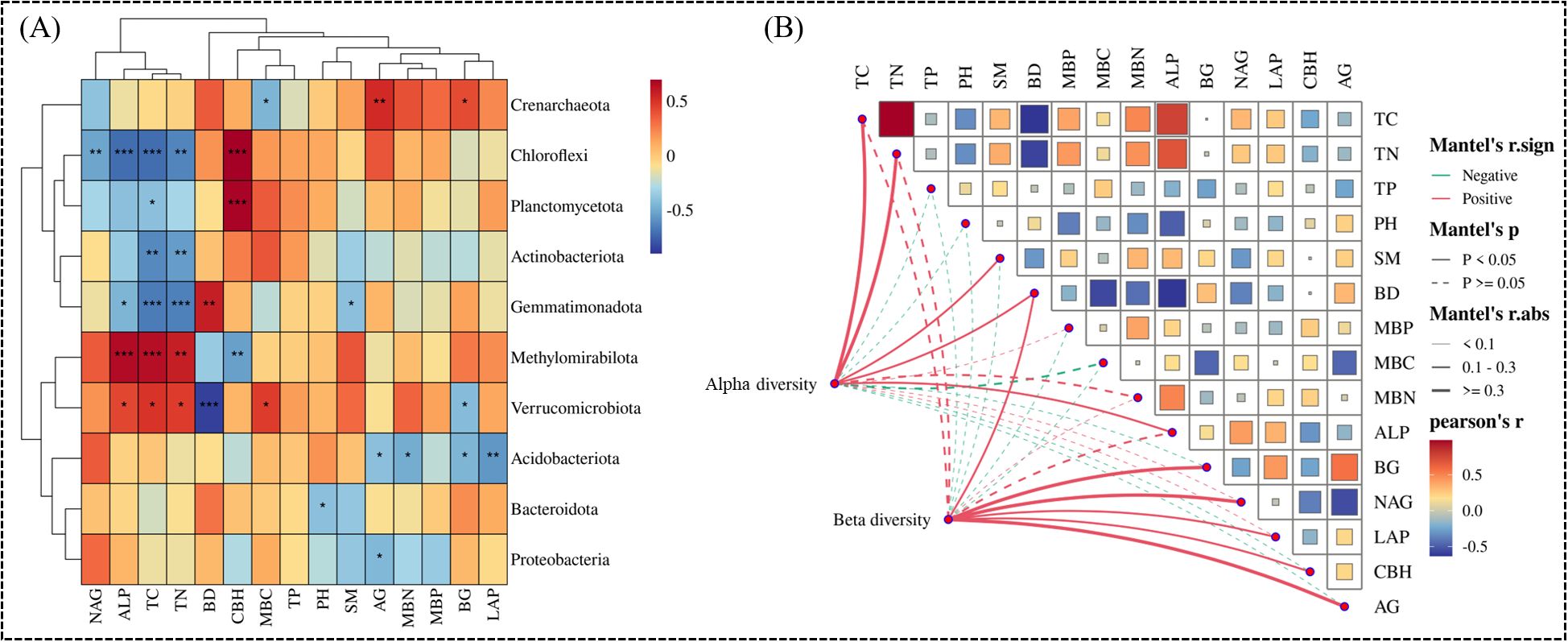Heatmaps and correlation matrices showing relationships among microbial communities and various environmental variables. Panel A illustrates clustering patterns with a color gradient from blue to red, indicating correlation strength. Panel B shows a matrix with lines linking variables, highlighting positive (red) and negative (green) correlations. A legend explains Mantel's test significance and Pearson's r values.