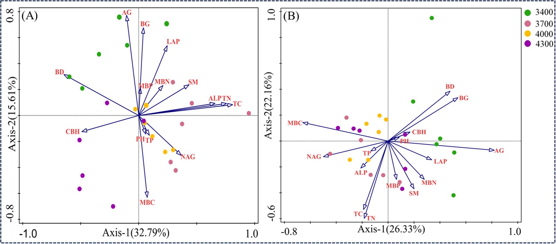 Biplots A and B show principal component analysis. Each plot represents data points in colors: green (3400), pink (3700), orange (4000), and purple (4300) with arrows indicating variables like AG, BG, BD, CBH, LAP, NAG, and others. Axes are labeled with percentages indicating explained variance.