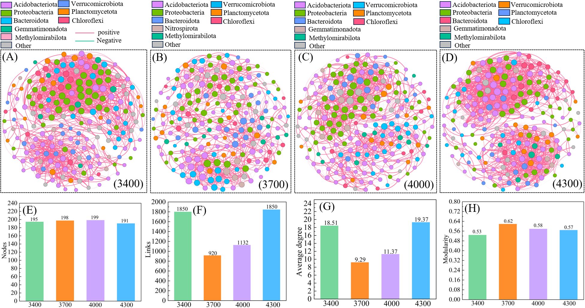 Network diagrams (A-D) show connections among different bacterial phyla, color-coded as per the legend. Graphs (E-H) illustrate metrics: nodes, links, average degree, and modularity at intervals of 3400, 3700, 4000, and 4300.