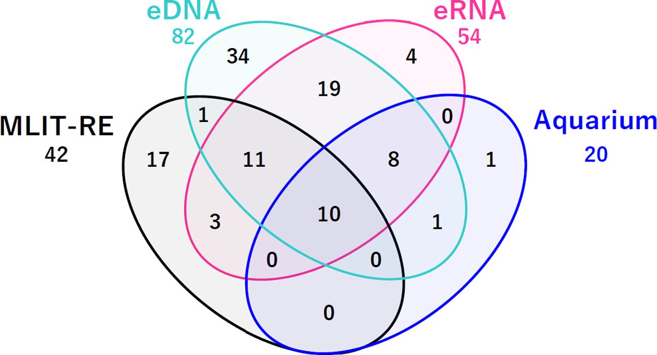 The Venn diagram displays the relationship among eDNA, eRNA, MLIT-RE, and Aquarium datasets. The counts indicate unique and shared species: 82 for eDNA, 54 for eRNA, 42 for MLIT-RE, and 20 for Aquarium. 10 fish species were newly identified species in Aquarium datasets, and nine of the ten species were allocated to species that were detected during eDNA and eRNA metabarcoding analysis.