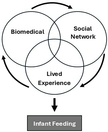 www.frontiersin.org