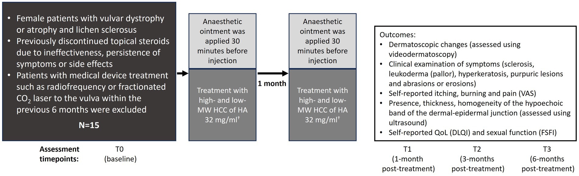 Study flowchart for a clinical trial with 15 female patients having vulvar conditions. Participants previously stopped using ineffective topical steroids. Exclusions included recent medical device treatments. An anesthetic ointment was applied 30 minutes prior to treatment with high- and low-molecular-weight hyaluronic acid. Outcomes measured included dermatoscopic changes, clinical symptoms, self-reported discomfort, dermal thickness, and quality of life and sexual function assessments. Evaluation occurred at baseline, one month, three months, and six months post-treatment.
