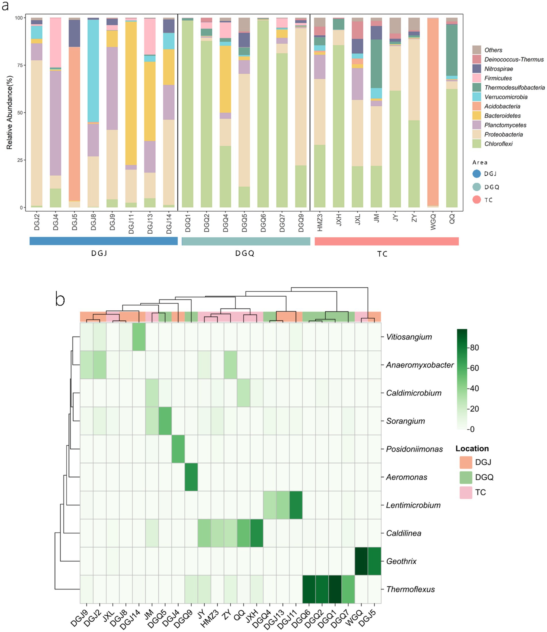 Panel a shows a stacked bar chart illustrating the relative abundance of various bacterial groups across different sampling sites labeled as DGJ, DGQ, and TC. Each bar is color-coded to represent different bacteria, with a legend on the right. Panel b features a heatmap depicting the distribution of bacterial genera across the same sites, with darker shades of green indicating higher abundance. The samples are clustered based on their similarity, and a legend denotes the location categories DGJ, DGQ, and TC.