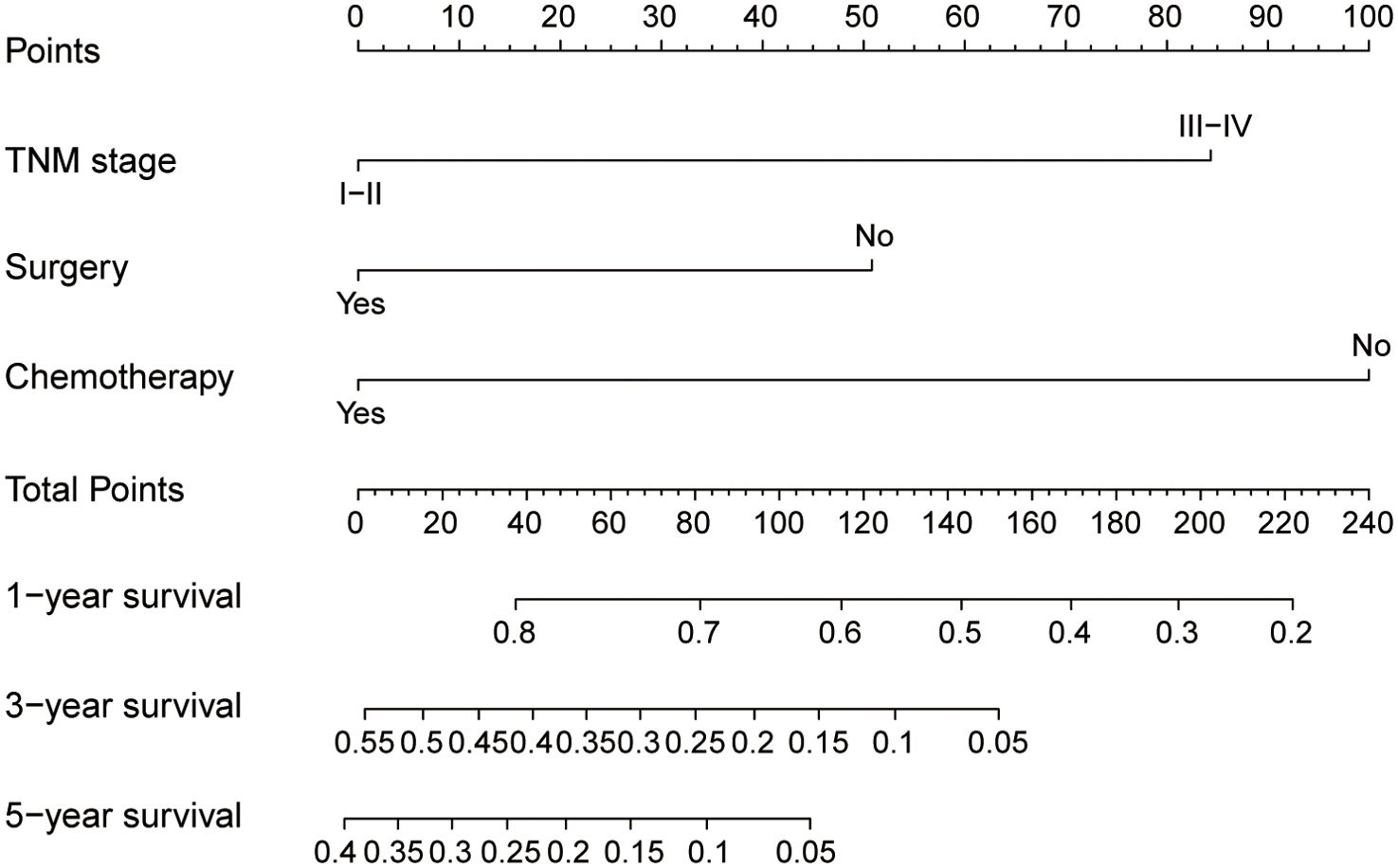 Nomogram for cancer prognosis. Top section assigns points based on TNM stage (I-II, III-IV), surgery (Yes, No), and chemotherapy (Yes, No). Bottom section converts total points to survival probabilities: 1-year (0.2 to 0.8), 3-year (0 to 0.55), and 5-year (0 to 0.4).