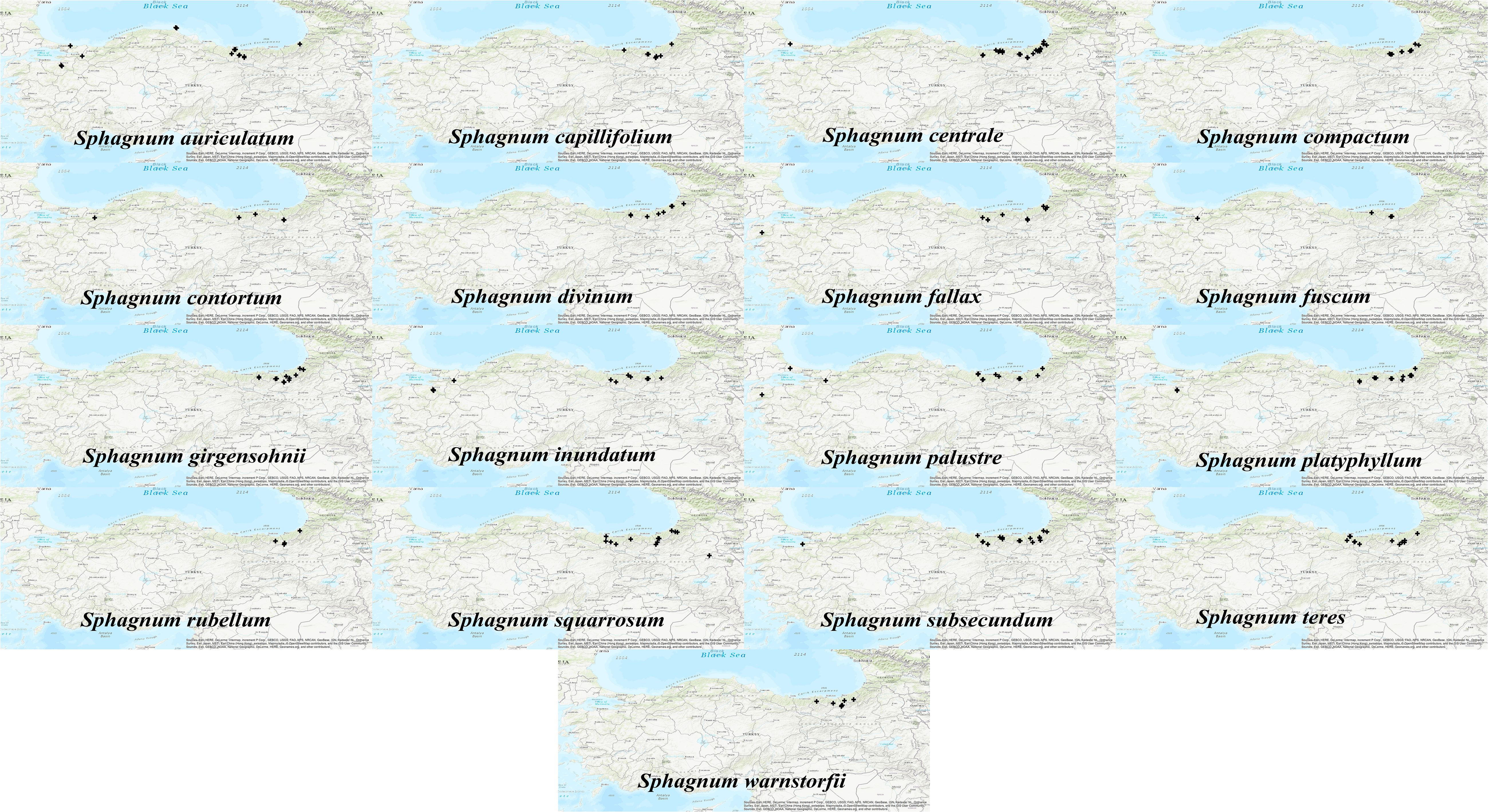 www.frontiersin.org
