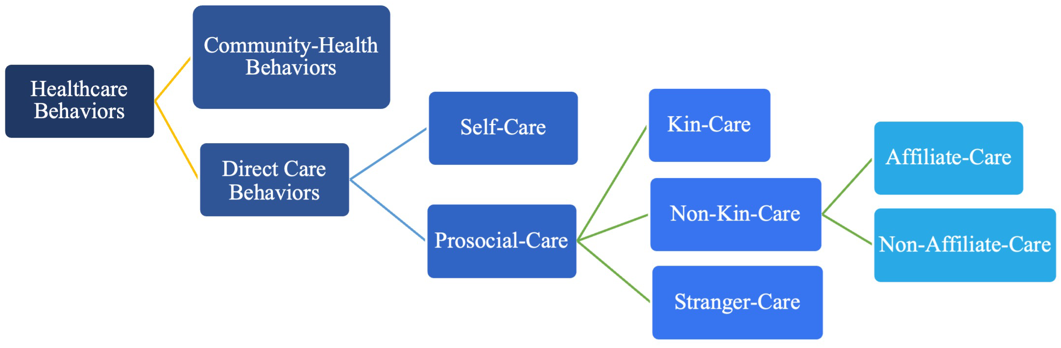 Flowchart illustrating a hierarchy of healthcare behaviors, starting with “Healthcare Behaviors” branching into “Community-Health Behaviors” and “Direct Care Behaviors.” “Direct Care Behaviors” further divide into “Self-Care” and “Prosocial-Care.” “Prosocial-Care” branches into “Kin-Care,” “Non-Kin-Care,” and “Stranger-Care.” “Non-Kin-Care” subdivides into “Affiliate-Care” and “Non-Affiliate-Care.