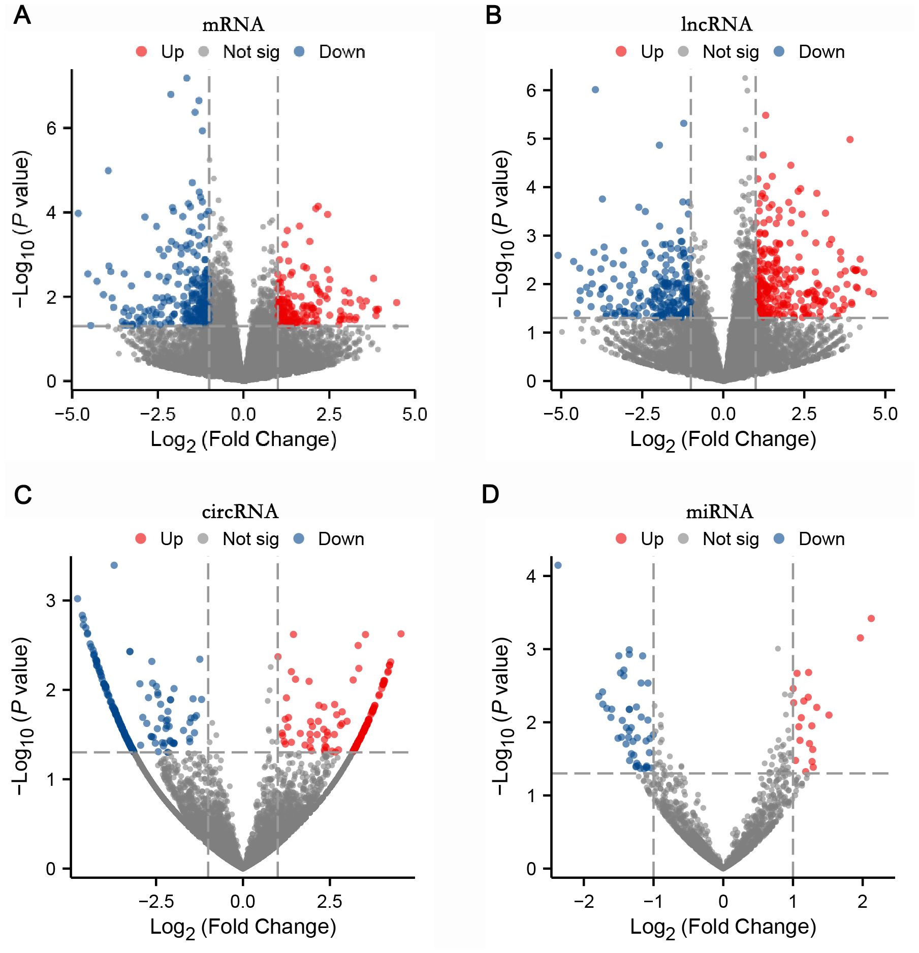 Four volcano plots (A-D) depict differential expression analysis. Panel A shows mRNA, panel B lncRNA, panel C circRNA, and panel D miRNA. The x-axis represents log2 fold change, and the y-axis represents negative log10 p-value. Red dots indicate upregulated, blue indicate downregulated, and grey indicate not significant. Each plot displays data points distributed around a central region with varying significance levels.