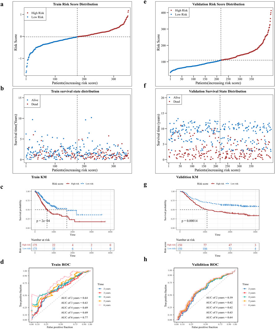 Assessment of prognostic characteristics. (a,b) Risk profiles of the training set GC patients in high and low risk subgroups will and scatter plots. (c) Prognostic gene K-M survival analysis. The horizontal axis is the total survival time (days) and the vertical axis is the survival probability; red color represents the high-risk group and blue color represents the low-risk group. (d) ROC curves of training set GC patients at 2, 3, 4, 5, and 6 years (e,f) Risk curves and scatter plots of high- and low-risk subgroups of validation set GSE62254 samples. (g) K-M survival analysis of high- and low-risk subgroups of validation set GSE62254 samples (h) ROC curves of validation set GSE62254 patients at 2, 3, 4, 5, and 6 years.
