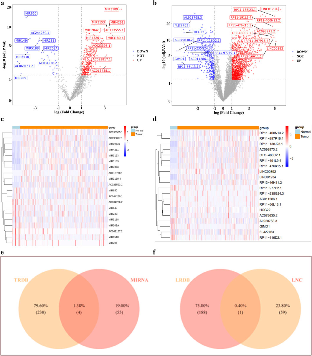 The ceRNA regulatory network analysis. (a–d) Volcano and heat maps of differentially expressed miRNAs and lnRNAs (e,f) Identification of targeted miRNAs, targeted lncRNAs.
