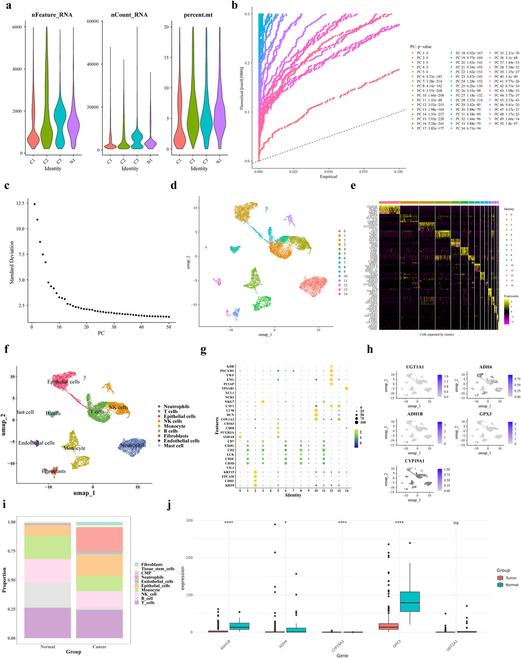 scRNA-seq analysis. (a) Results after QC of single-cell data (b,c) PCA principal component and fragmentation plots (d) UMAP clustering plots (e) Expression status of specific highly expressed genes in each cell population (f) Cellular annotation analysis (g) Expression levels of marker genes in each cell population obtained by the annotation (h,i) Gene distribution of prognostic genes in each cell type and bar stacking plots (j) Prognostic gene expression in training set gene expression in the training set.