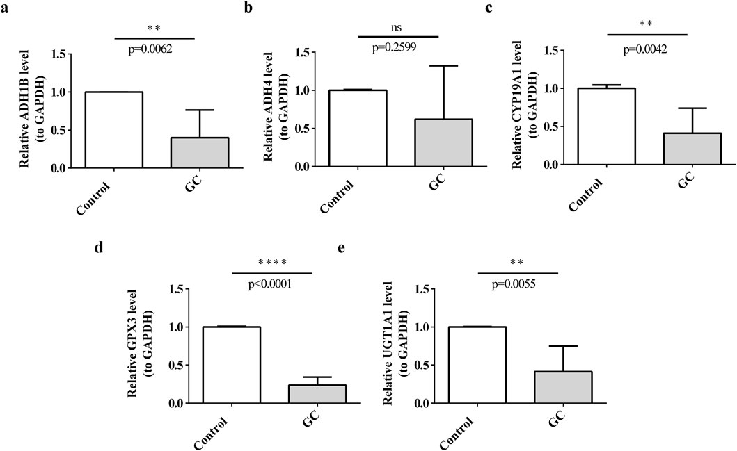 Expression of prognostic genes in clinical samples. (a) ADH1B, (b) ADH4, (c) CYP19A1, (d) GPX3, (e) UGT1A1.