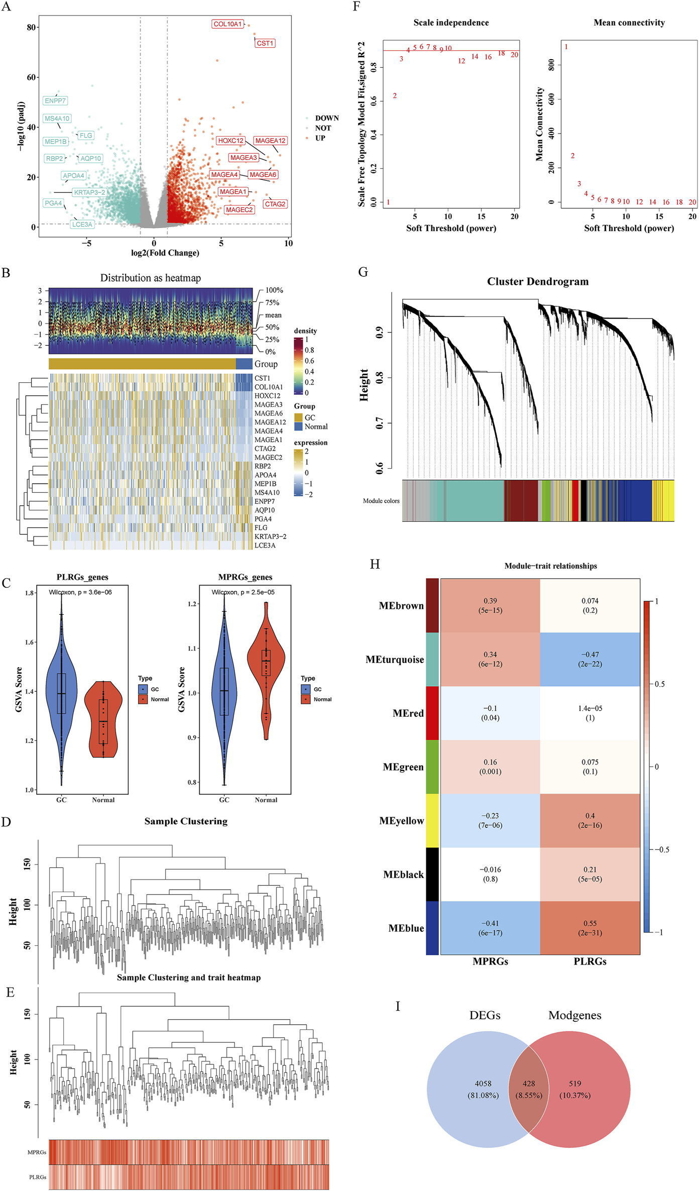 Composite image displaying various bioinformatics analyses:A) Volcano plot illustrating gene expression changes, highlighting differentially expressed genes.B) Heatmap showing gene expression distribution across two groups: GC and normal.C) Violin plots comparing GSVA scores for PLRGs and MPRGs between GC and normal types.D) Dendrogram of sample clustering based on height.E) Sample clustering with trait heatmap for MPRGs and PLRGs.F) Line charts depicting scale independence and mean connectivity at various soft threshold powers.G) Cluster dendrogram indicating module colors.H) Heatmap of module-trait relationships with correlation values.I) Venn diagram showing overlap between DEGs and Modgenes.