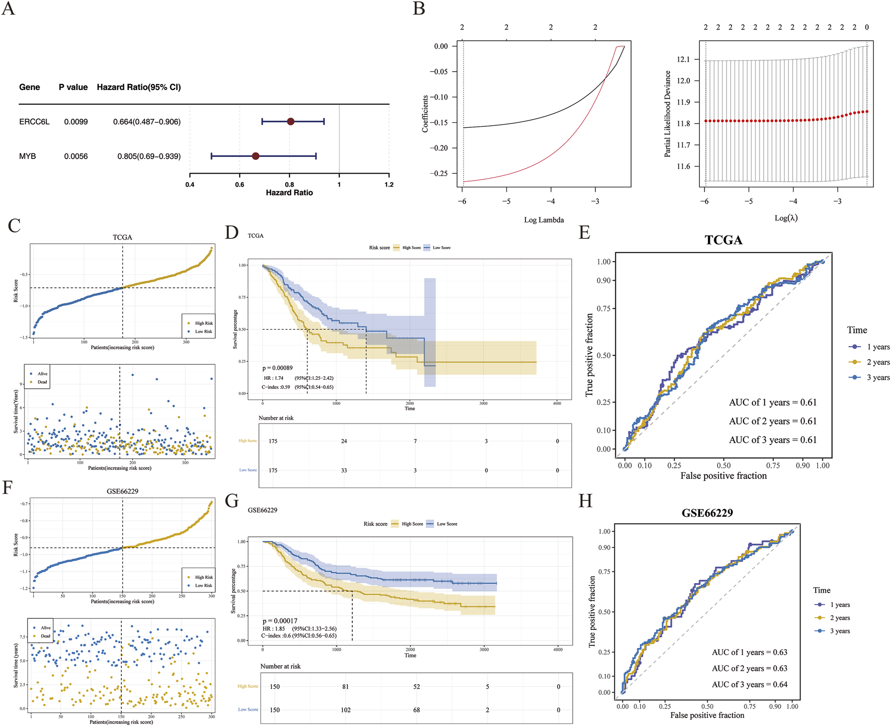 A series of graphs and plots analyzing gene data:A) Summary table with hazard ratios and p-values for genes ERCC6L and MYB. B) Plots showing coefficient paths and cross-validation for Lasso regression.C & F) Risk score plots for TCGA and GSE66229 datasets with survival status.D & G) Kaplan-Meier curves with high and low-risk groups for TCGA and GSE66229 datasets.E & H) ROC curves for TCGA and GSE66229 datasets showing AUC values at one, two, and three years.