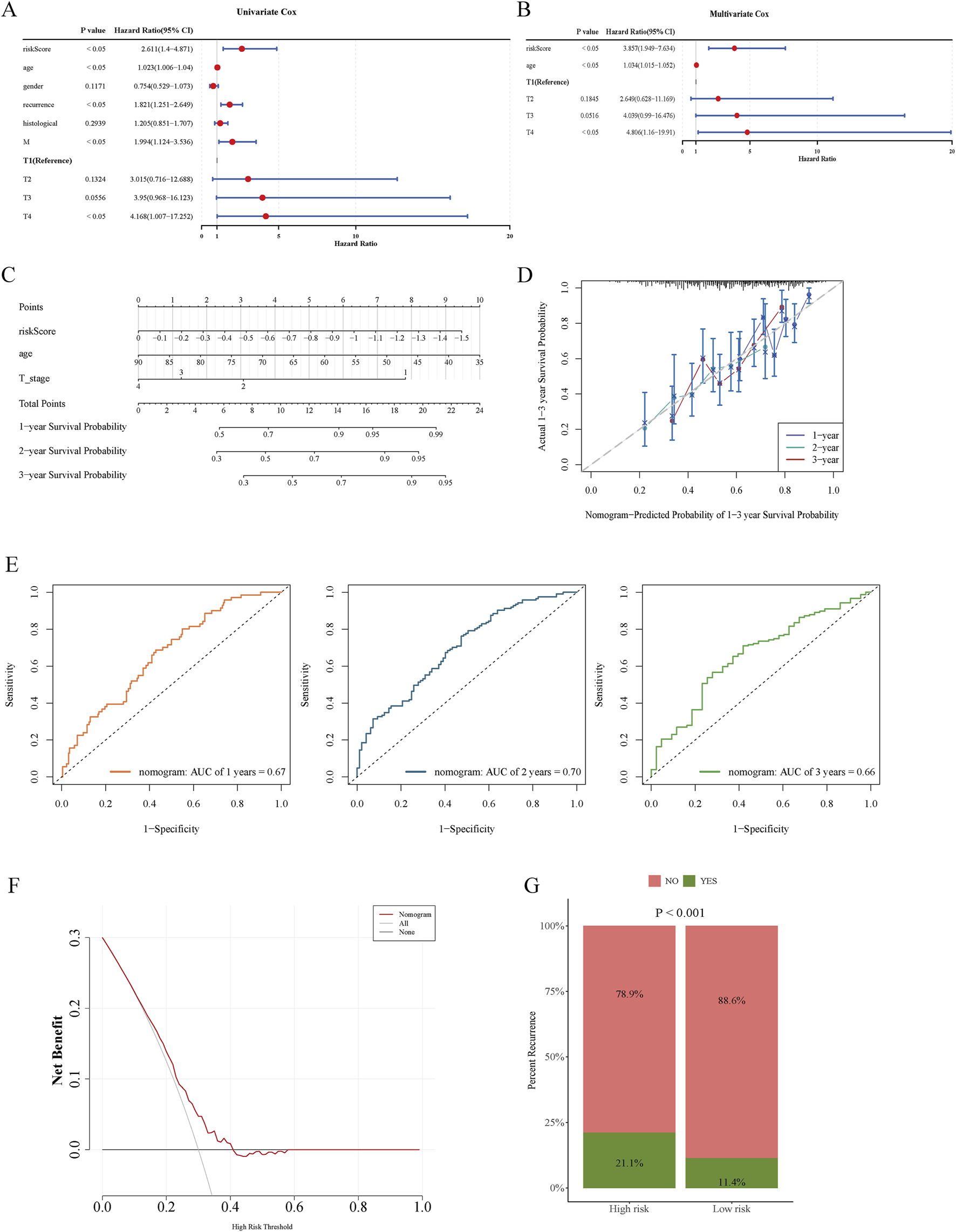 A: Forest plot showing univariate Cox regression analysis of various factors, including risk score and T stage, indicating hazard ratios with confidence intervals. B: Multivariate Cox regression analysis forest plot for risk score and T stage. C: Nomogram predicting one to three-year survival probability based on risk score, age, and T stage. D: Calibration plot comparing nomogram-predicted versus actual survival probability for one to three years. E: Receiver operating characteristic curves for nomogram's predictive accuracy at one, two, and three years with AUC values. F: Decision curve analysis illustrating net benefit for different risk thresholds. G: Bar graph displaying recurrence percentages for high and low-risk groups with significant P-value.