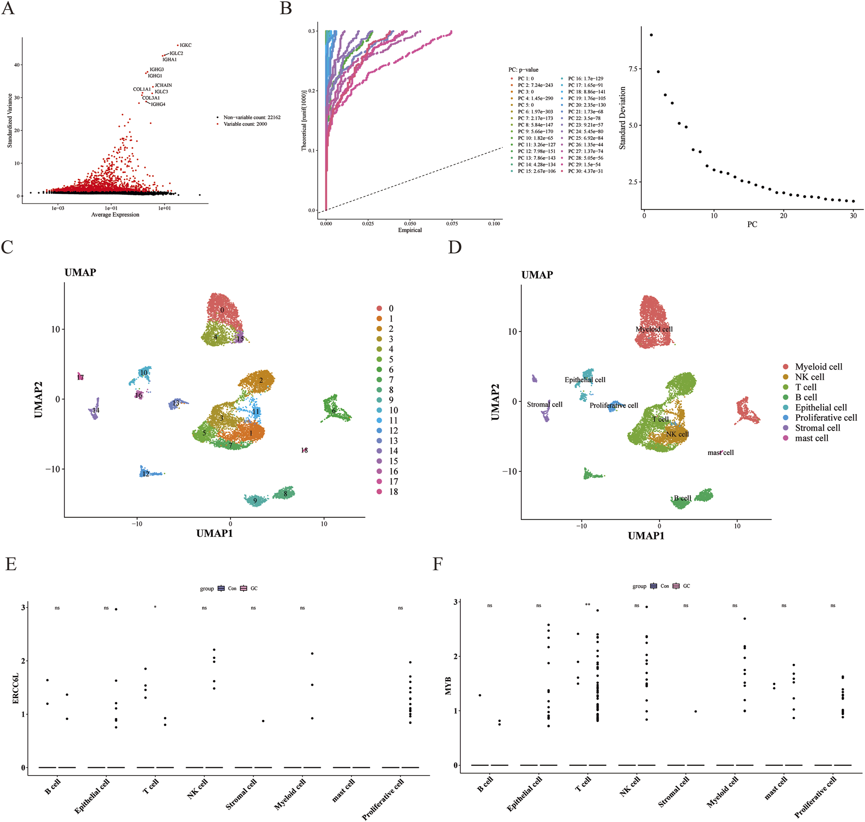 Panel A displays a scatter plot showing gene variability. Panel B includes an elbow plot and a scree plot related to principal components. Panels C and D present UMAP plots with cell type clusters, each identified by color and label. Panels E and F show violin plots comparing the expression of BRCC3 and MYB genes across different cell types, distinguished by dot color for various groups.