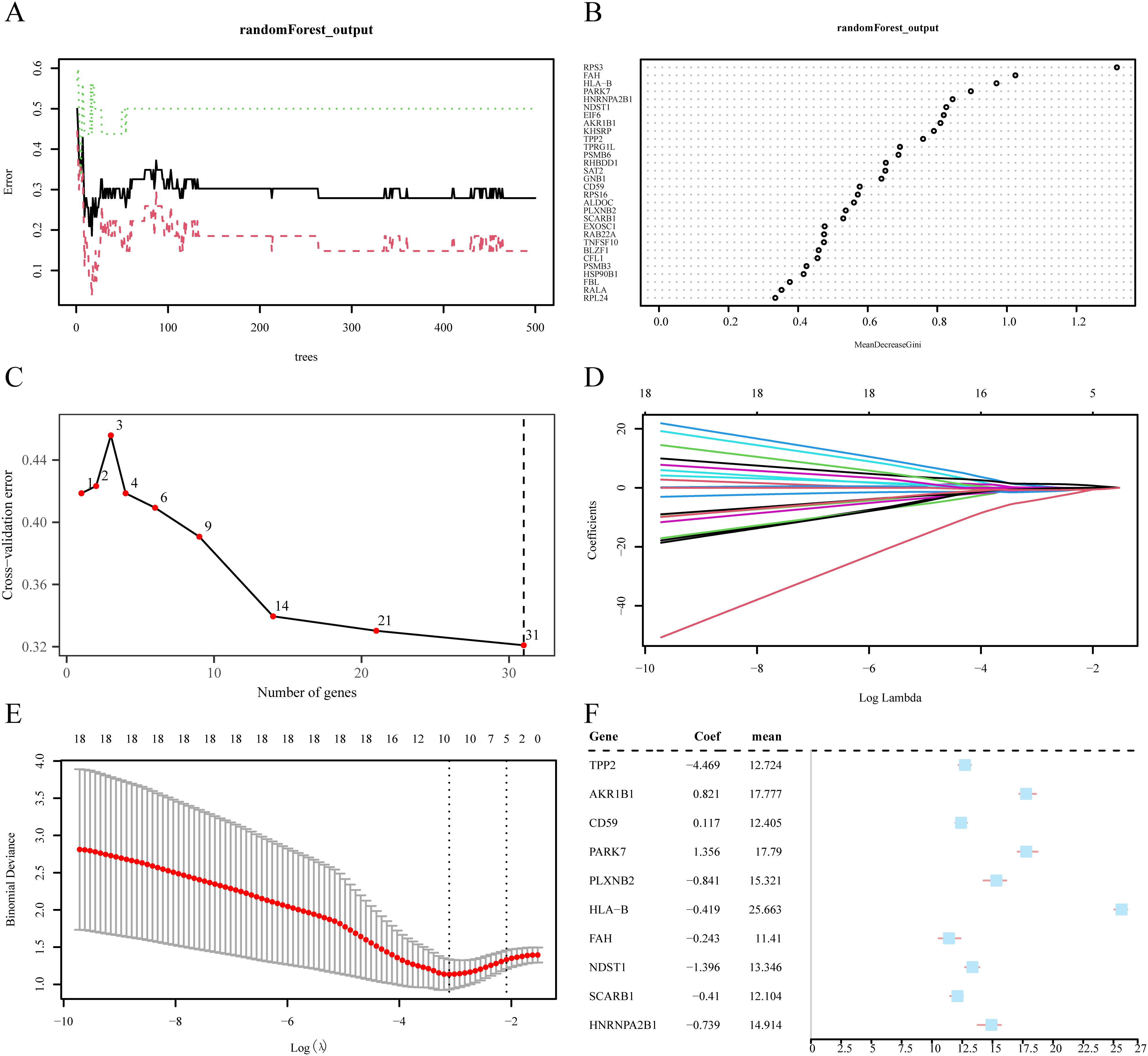 Panel A shows a random forest output with error rates over 500 trees. Panel B depicts feature importance based on mean decrease in Gini index. Panel C illustrates cross-validation error versus the number of genes, highlighting a downward trend. Panel D is a plot of coefficients against log lambda values. Panel E presents binomial deviance against log lambda, showing error bars. Panel F lists genes with coefficients and mean values, along with a scatter plot of values on the right.